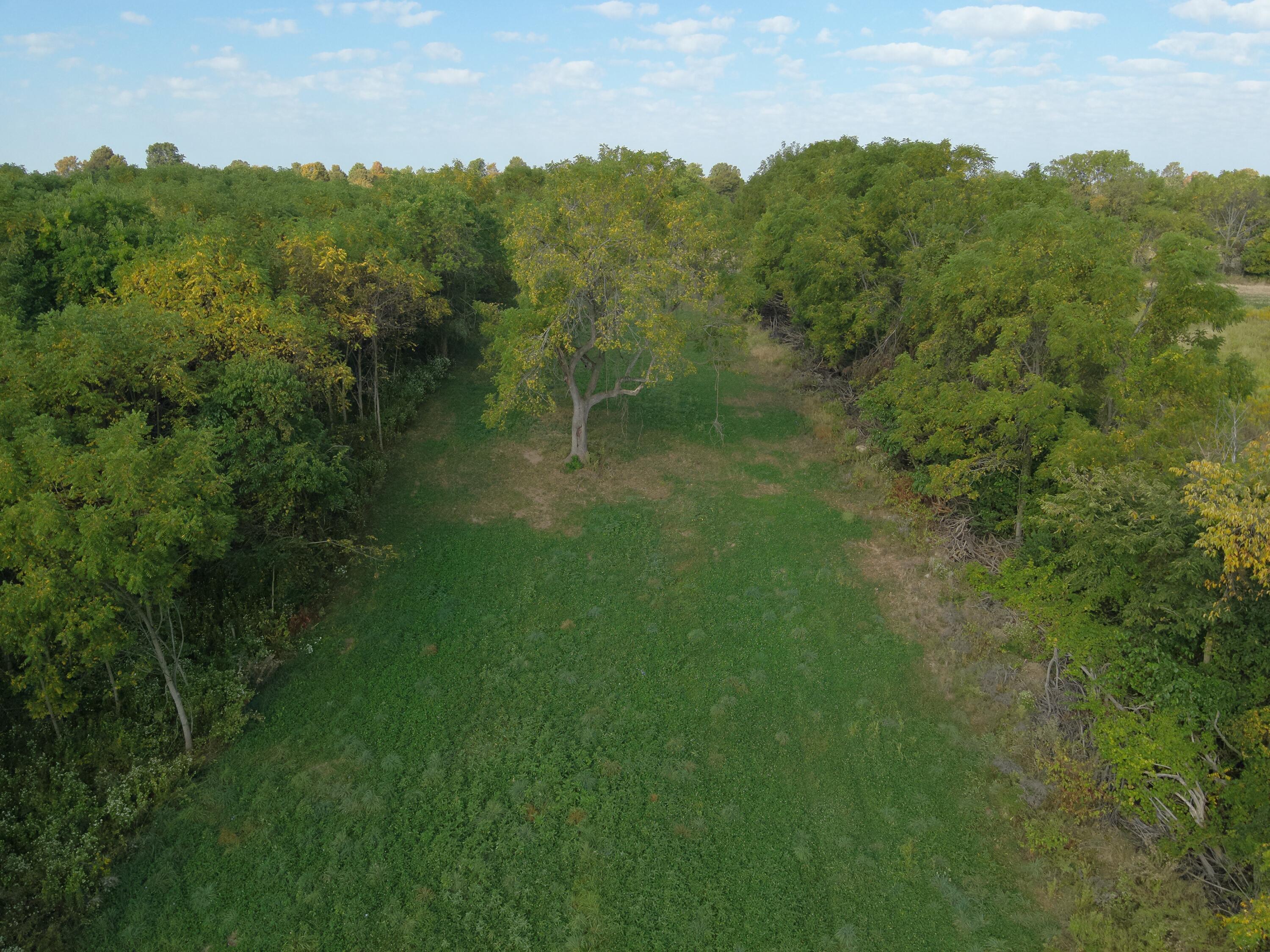 0 Township Road 127, Zanesfield, Ohio 43360