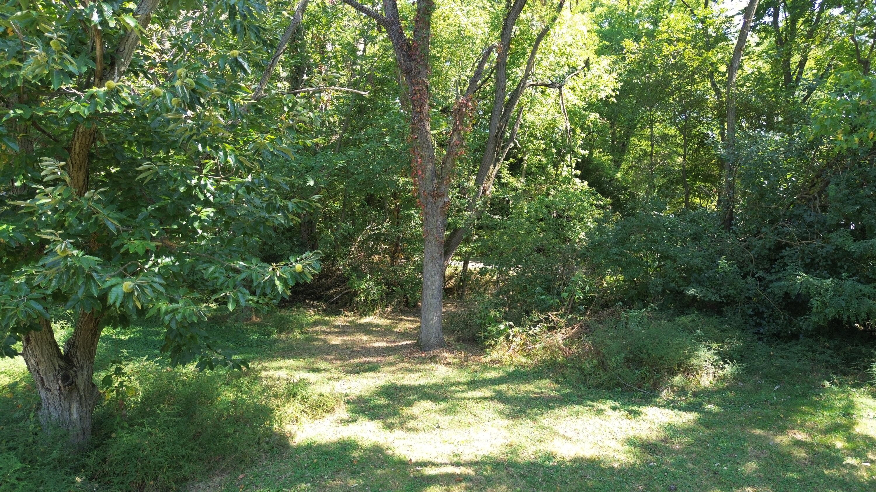 2642 Springfield Xenia Road, Springfield, Ohio 45506