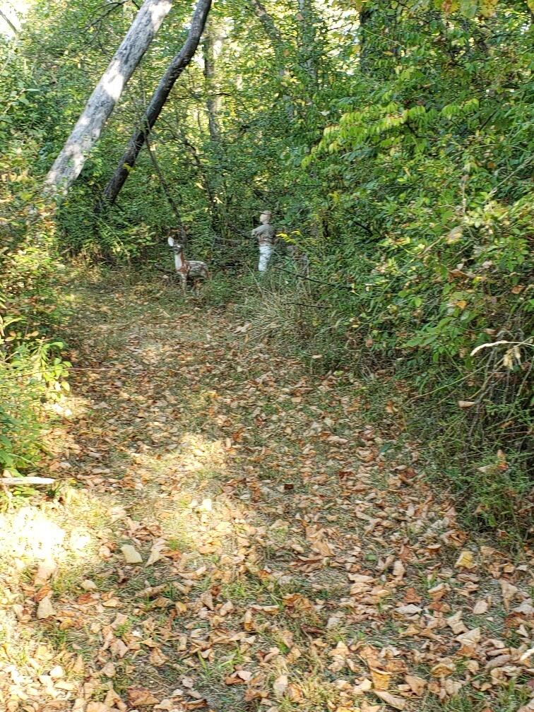 2340 Home Road, Springfield, Ohio 45503