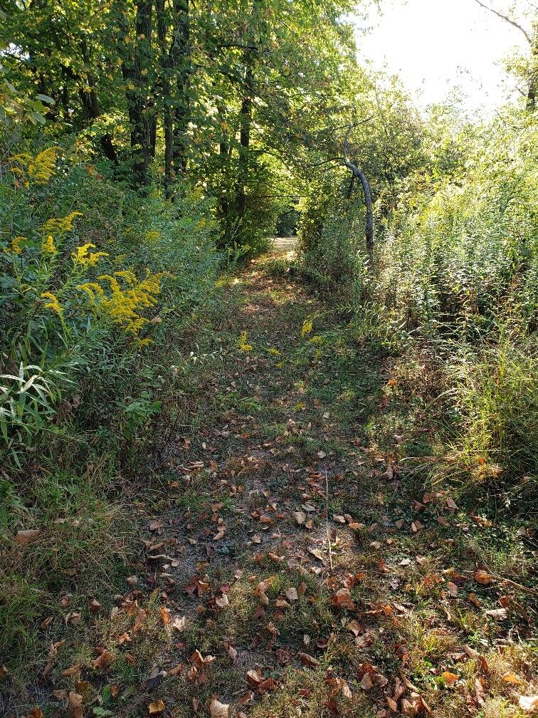 2340 Home Road, Springfield, Ohio 45503