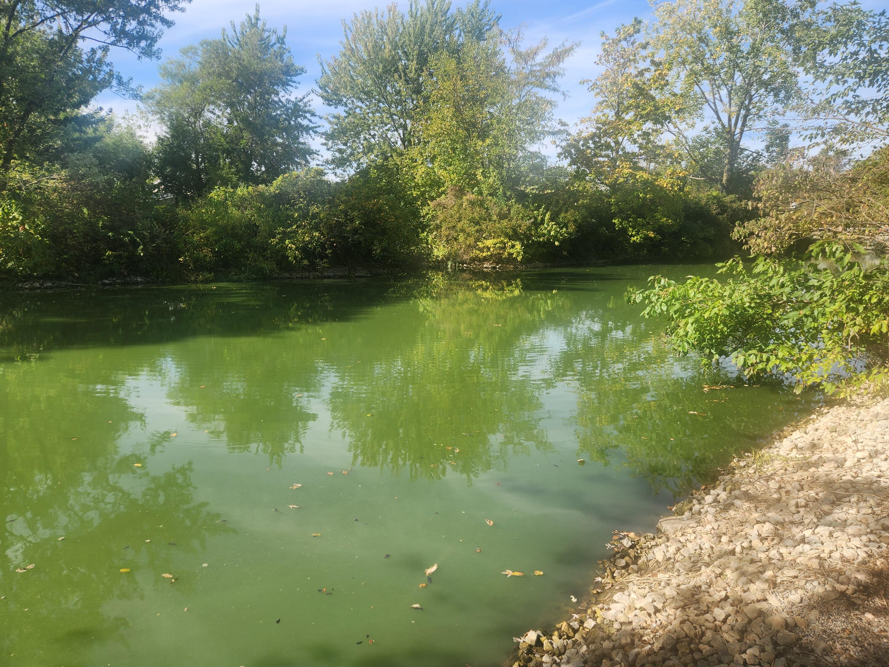 77 Canal Street, Montezuma, Ohio 45866