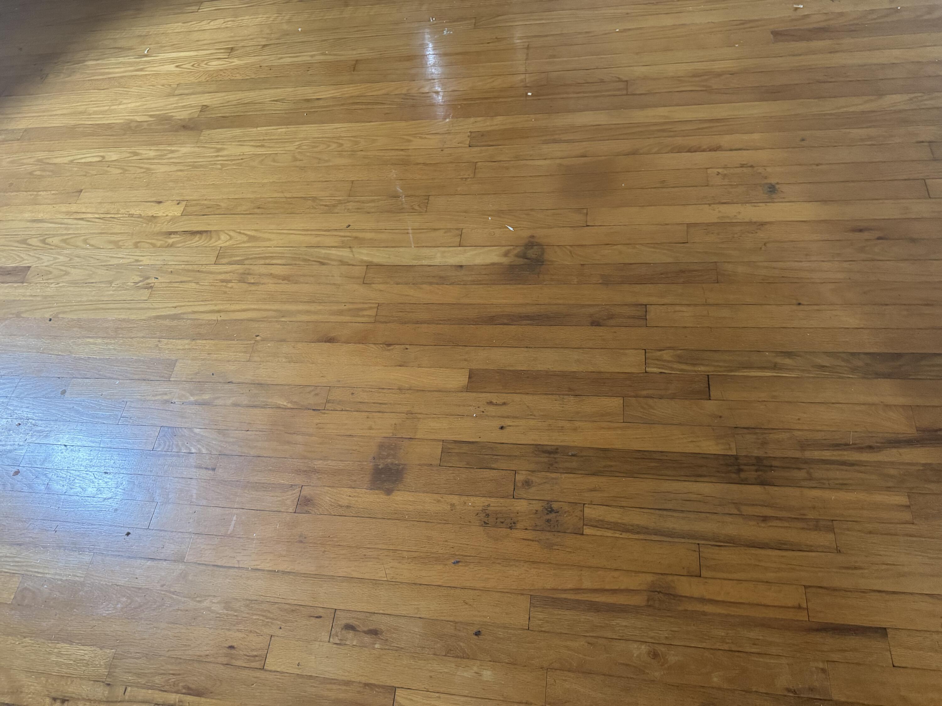 1915 Kenwood Avenue, Springfield, Ohio 45505