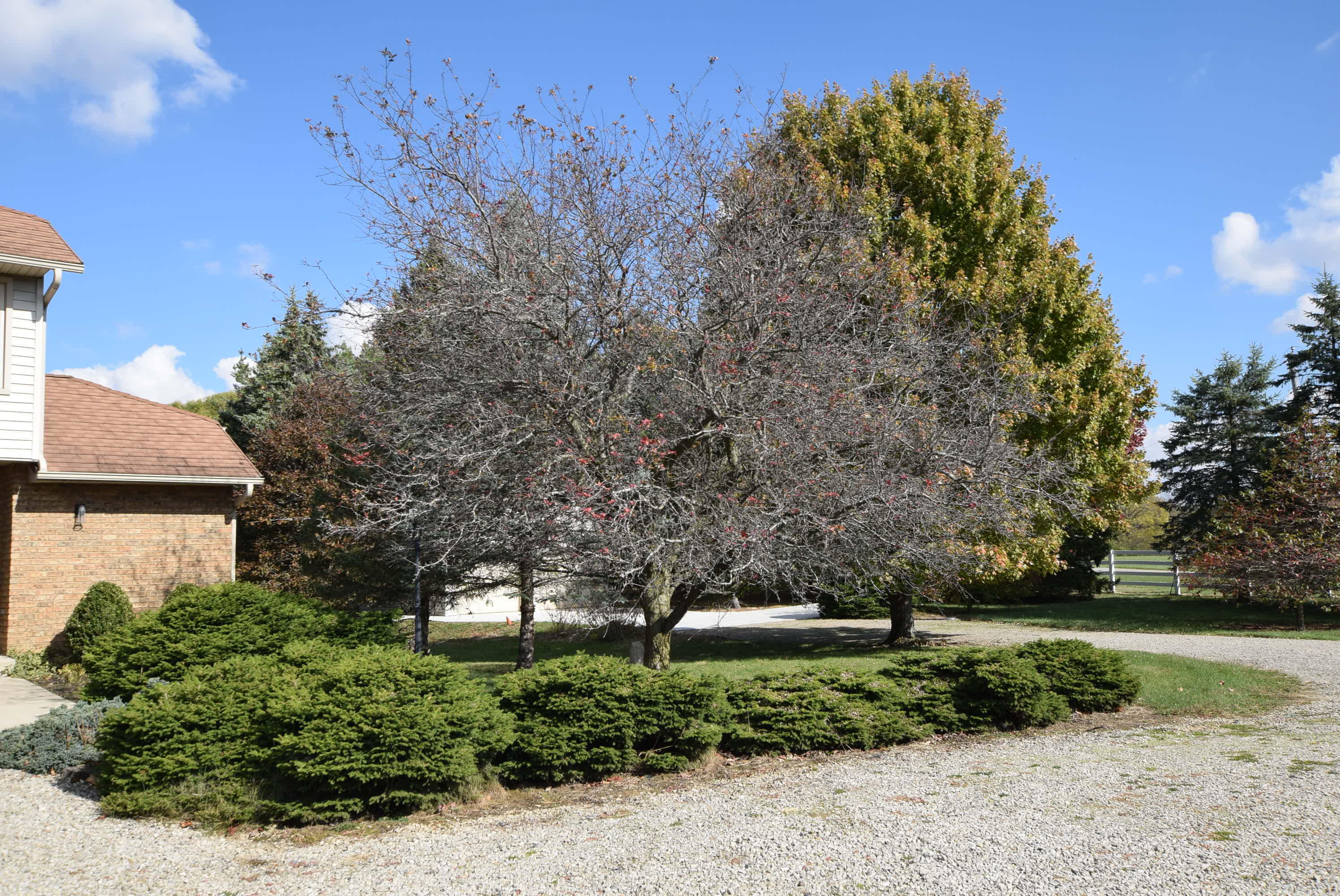 2552 Township Road 37, Huntsville, Ohio 43324