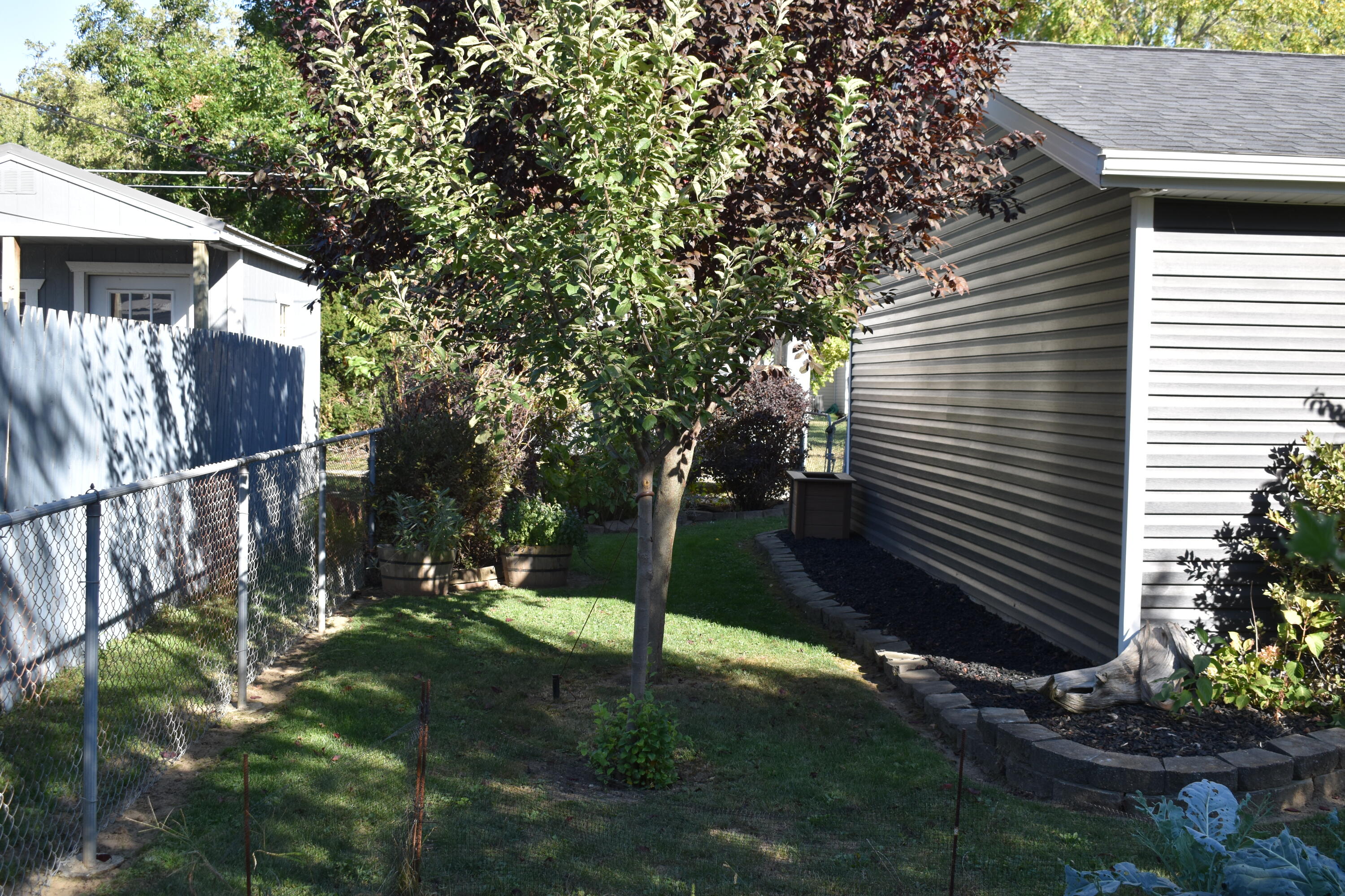 524 Buckeye Street, Celina, Ohio 45822