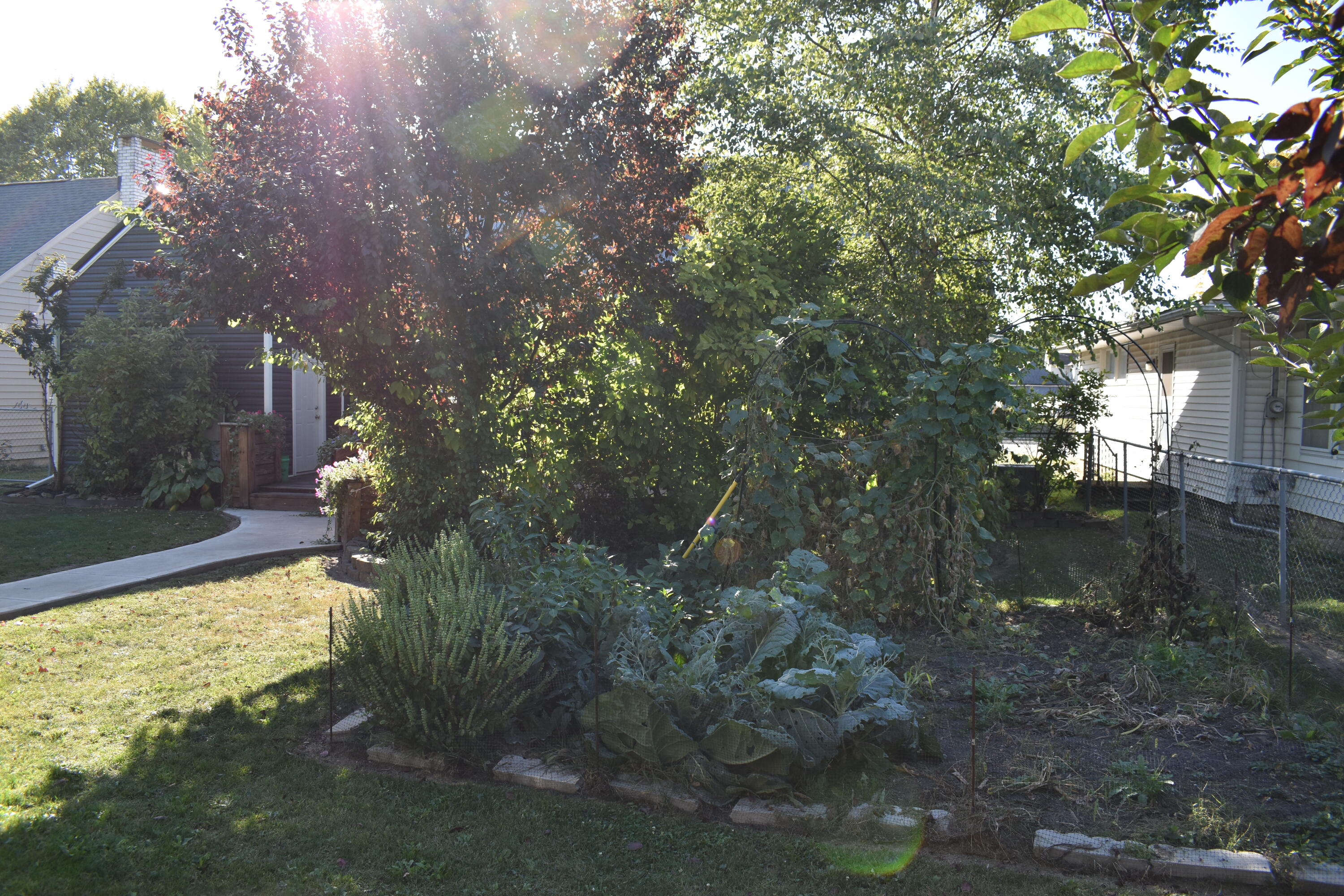 524 Buckeye Street, Celina, Ohio 45822