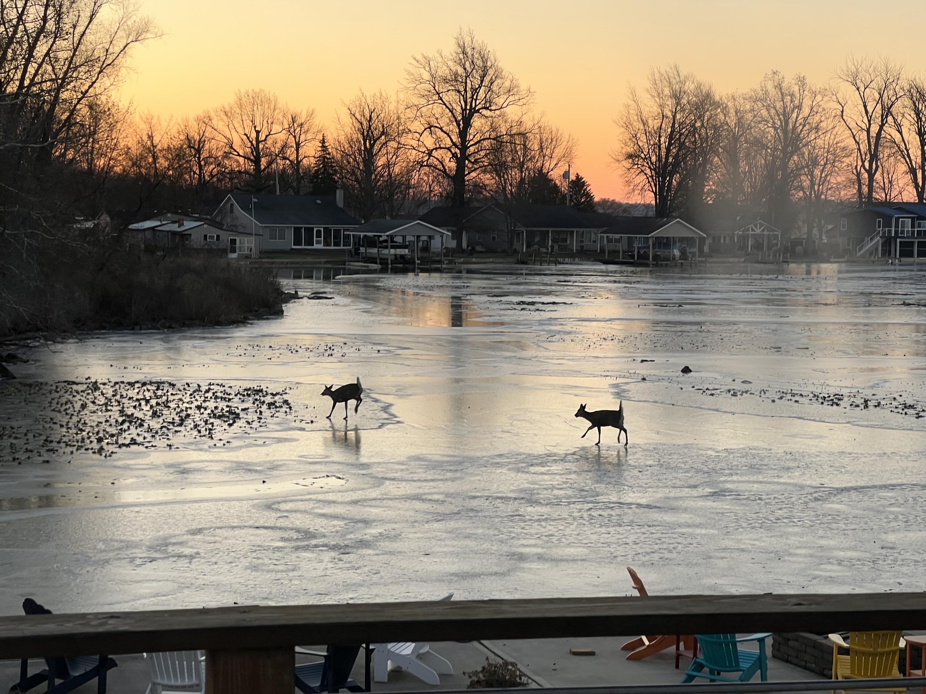 11076 Newland Drive, Lakeview, Ohio 43331