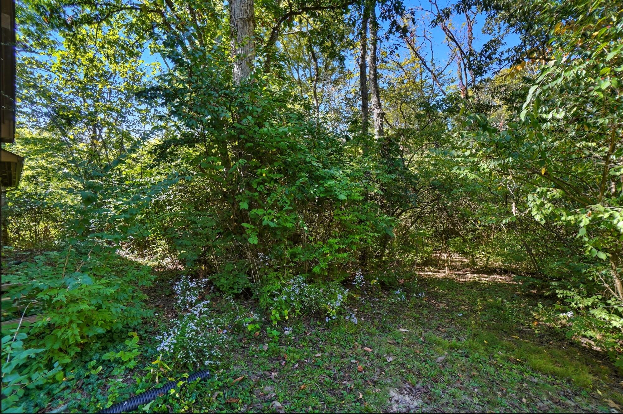 12100 Collins Arbogast Road, South Vienna, Ohio 45369