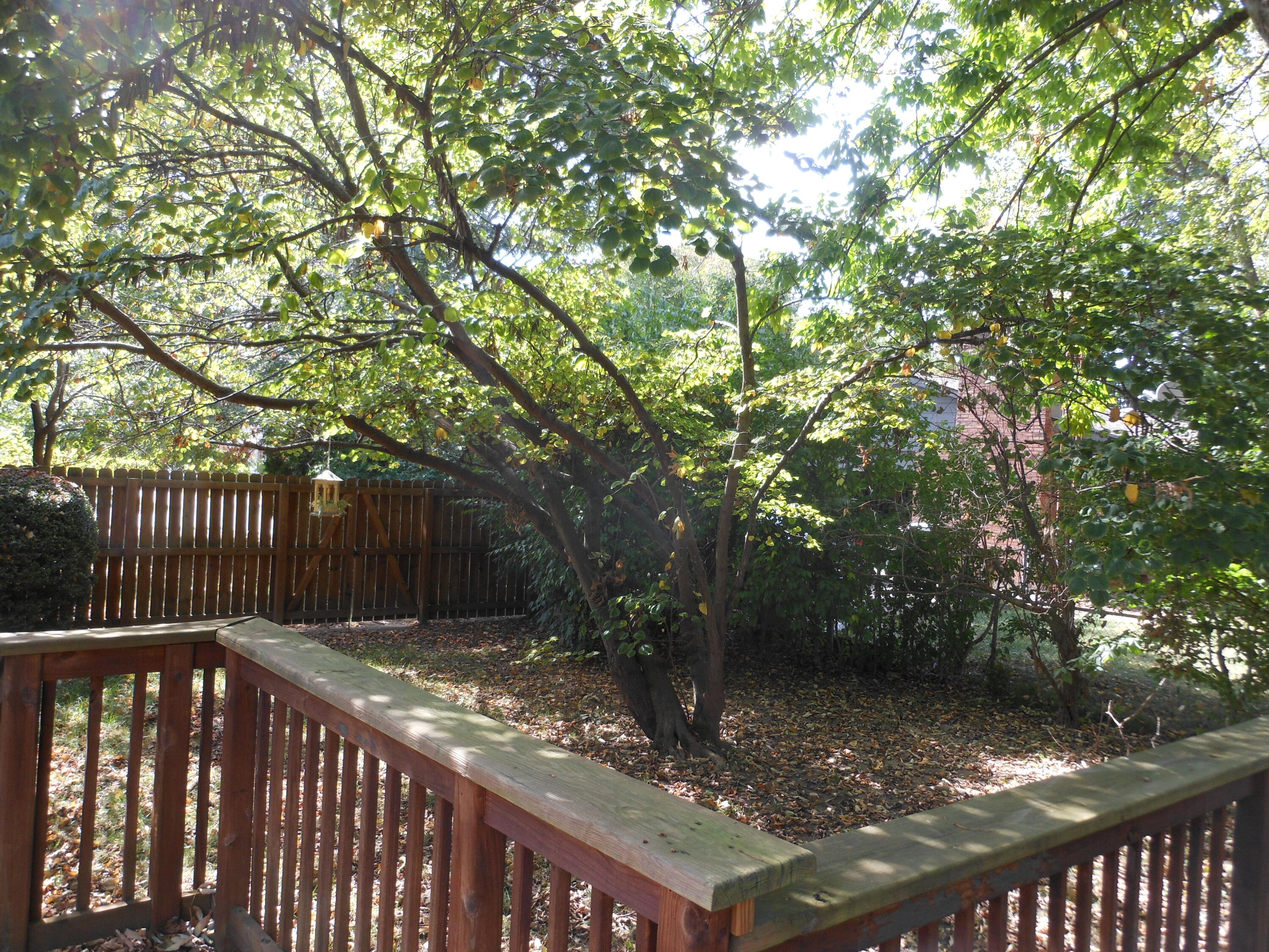 332 Beckenham Road, Englewood, Ohio 45322