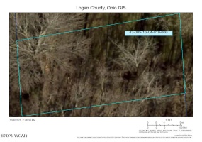 019 Linden Street, Lakeview, Ohio, ,Land,For Sale,Linden,308484