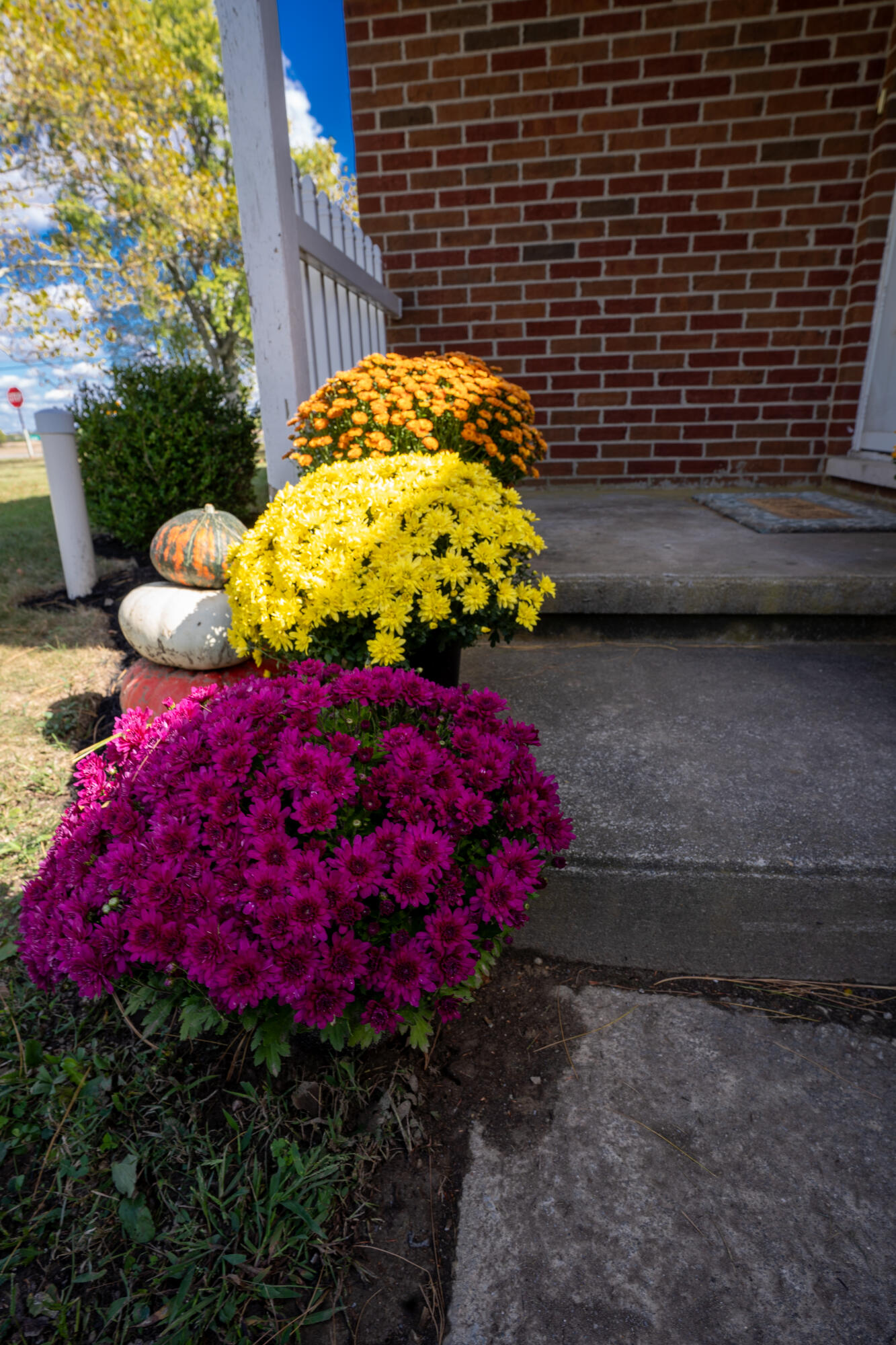 7210 Bollinger Road, Conover, Ohio 45317