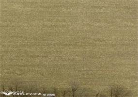 000 Sandy Point Road, Lima, Ohio, ,Land,For Sale,Sandy Point,308541