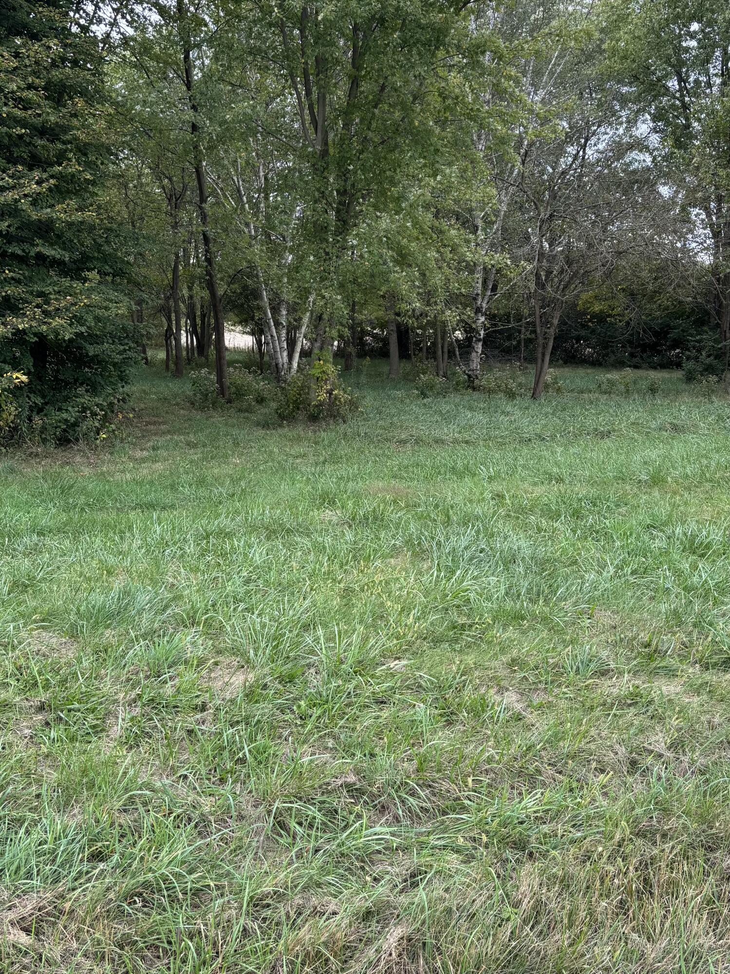 5393 Neer Road, South Vienna, Ohio 45369