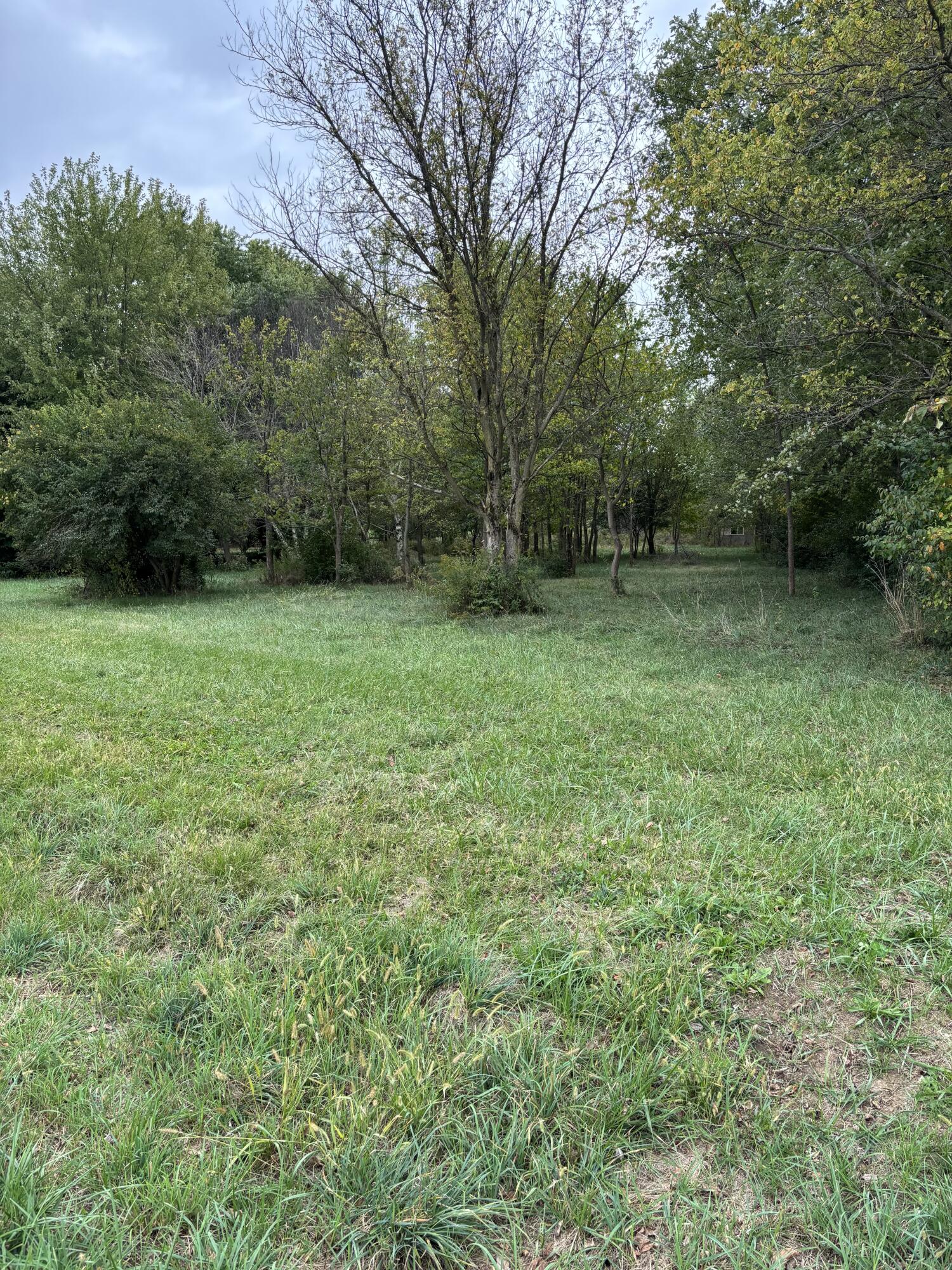 5393 Neer Road, South Vienna, Ohio 45369