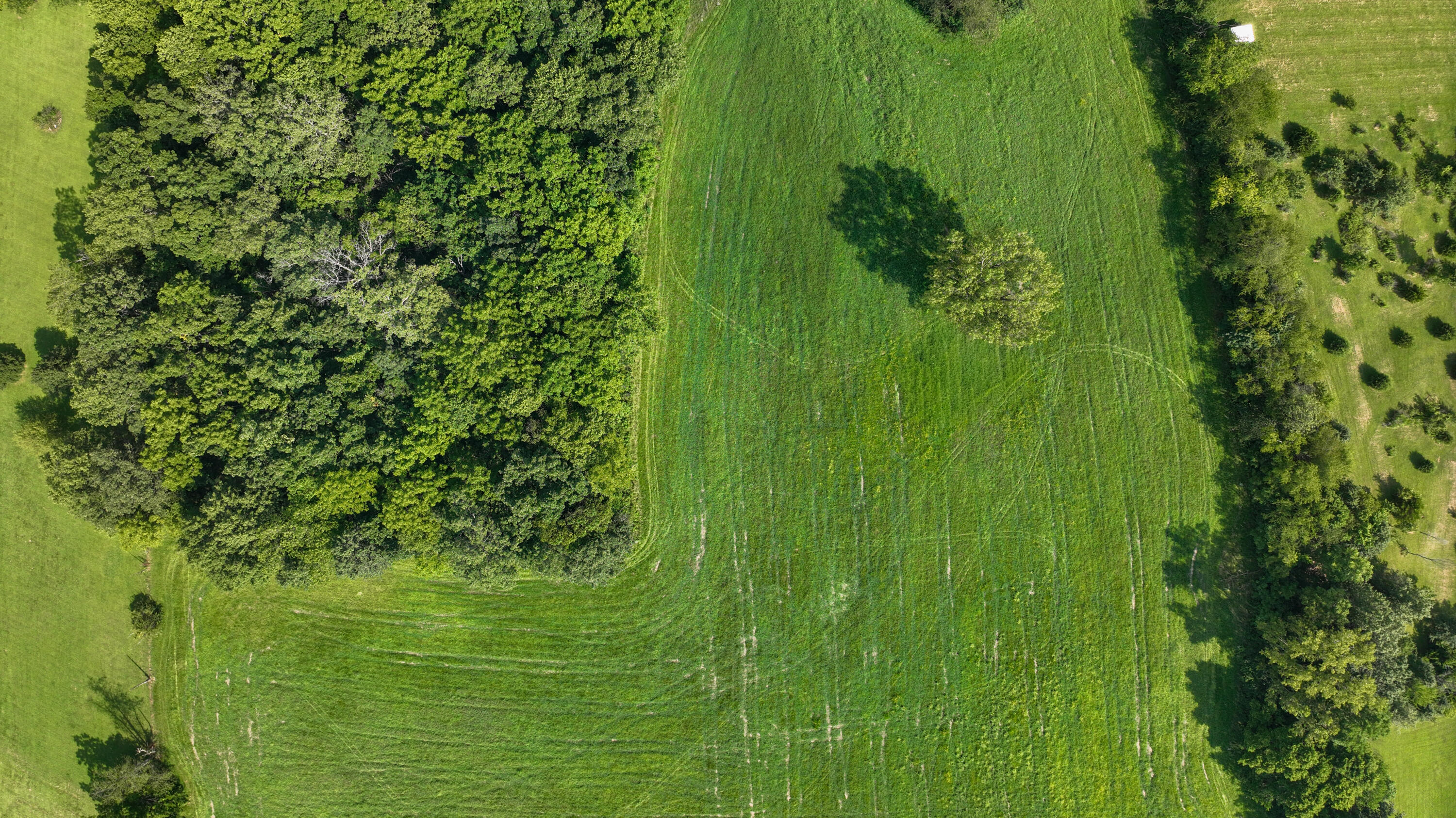 2800 Craig Road, Springfield, Ohio 45502