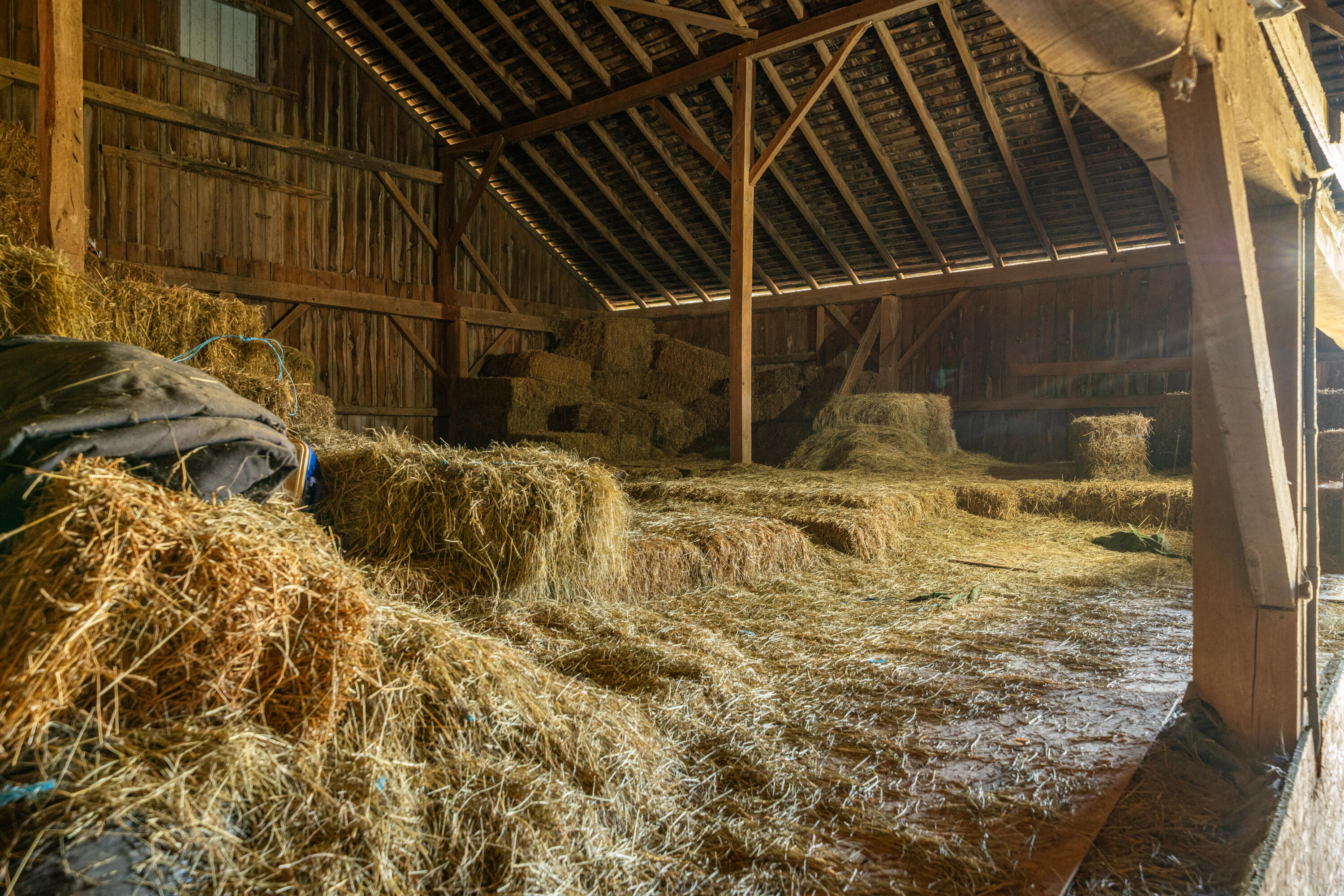 7141 Phillipsburg Union Road, Brookville, Ohio 45309