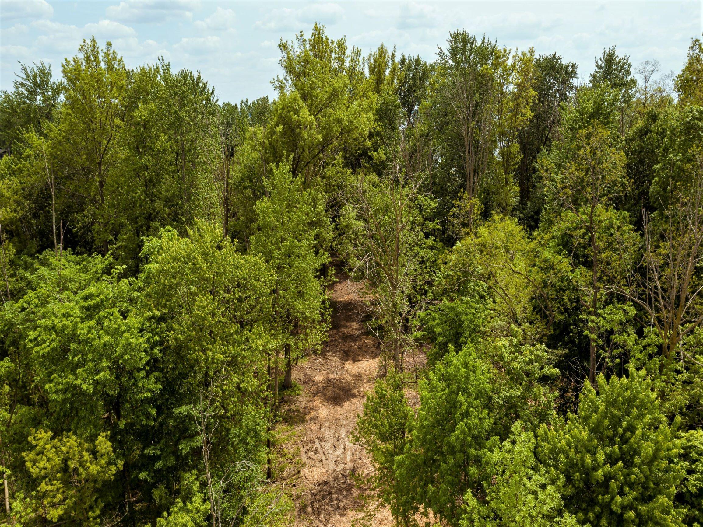 0 Springer 1-6 & Roadway 14-16, Celina, Ohio 45822