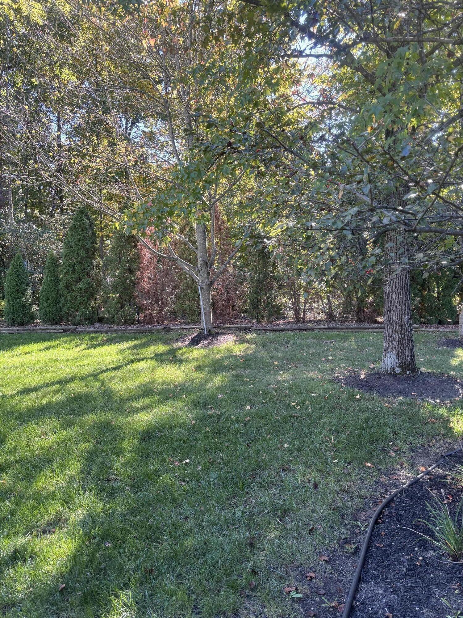 880 Brendle Trace, Springfield, Ohio 45503
