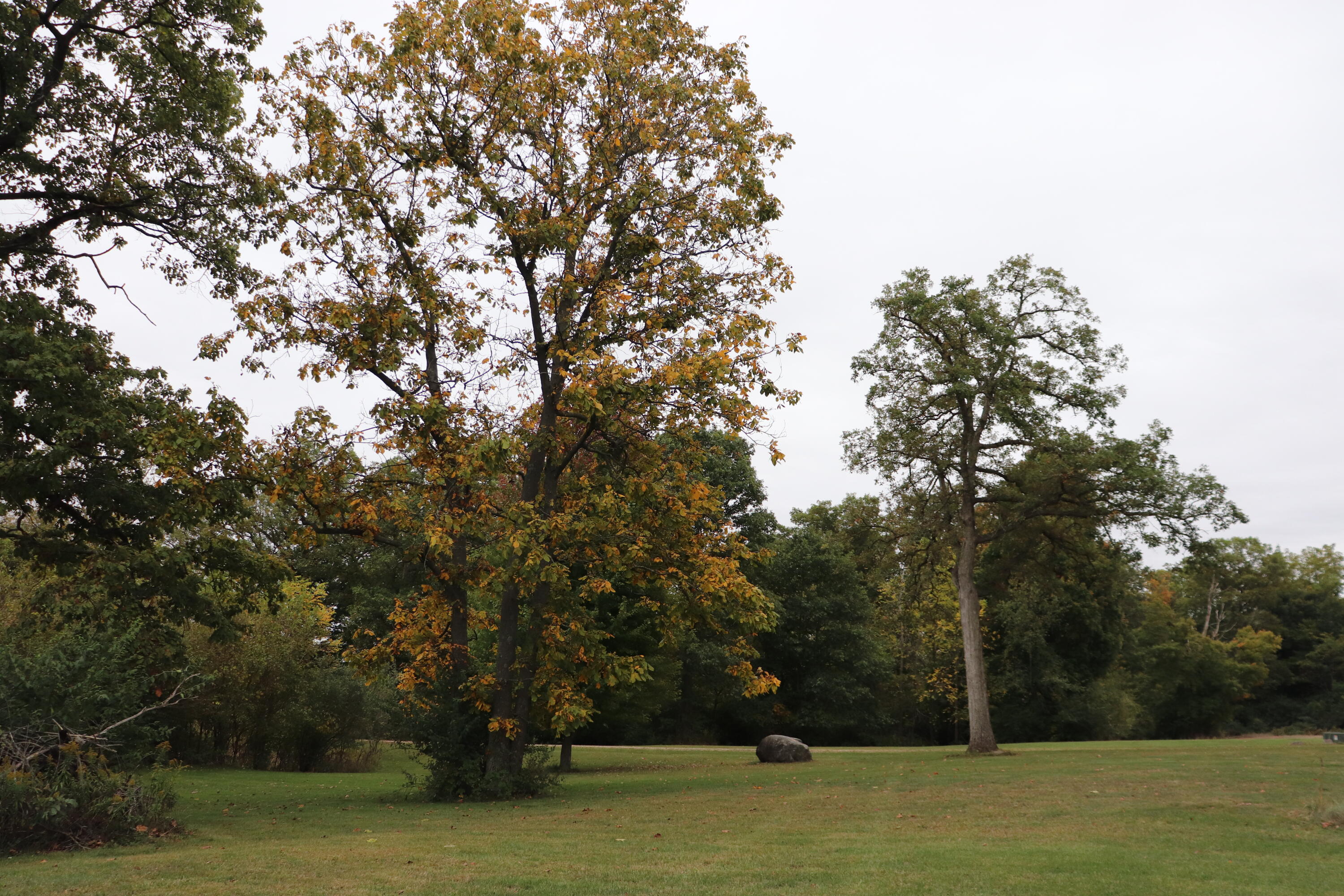 7521 Brush Lake Road, North Lewisburg, Ohio 43060