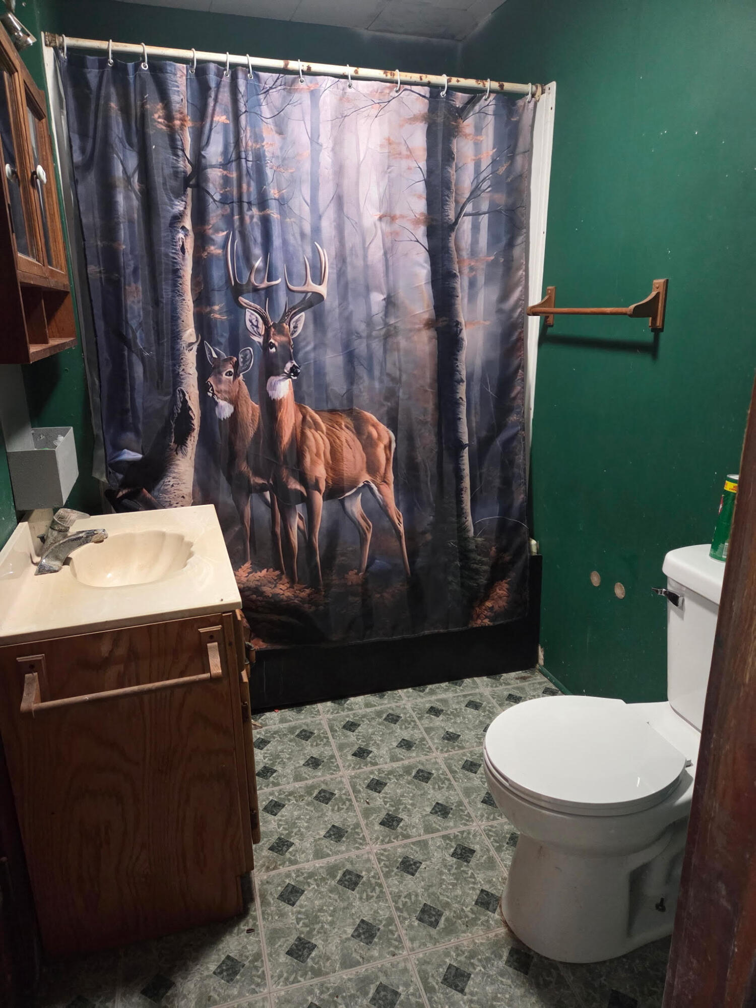 148 Water Street, Vaughnsville, Ohio 45893