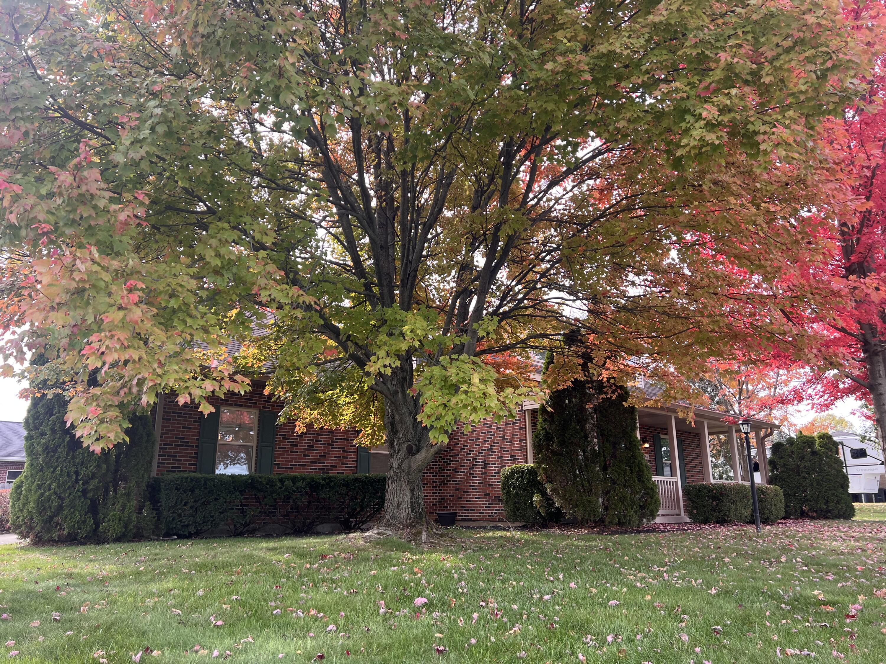 1461 Student Avenue, Springfield, Ohio 45503