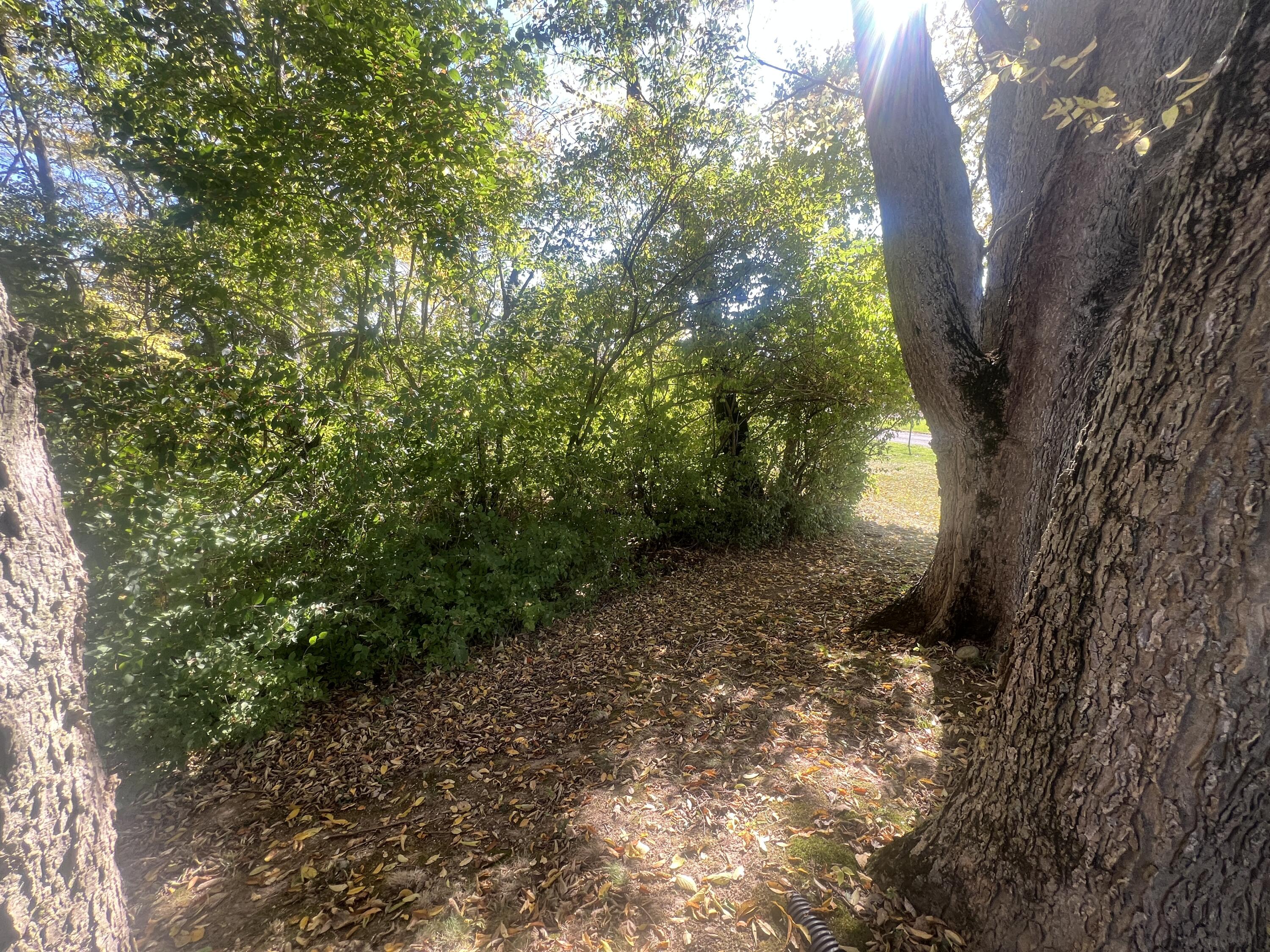 1376 Constitution Avenue, Sidney, Ohio 45365