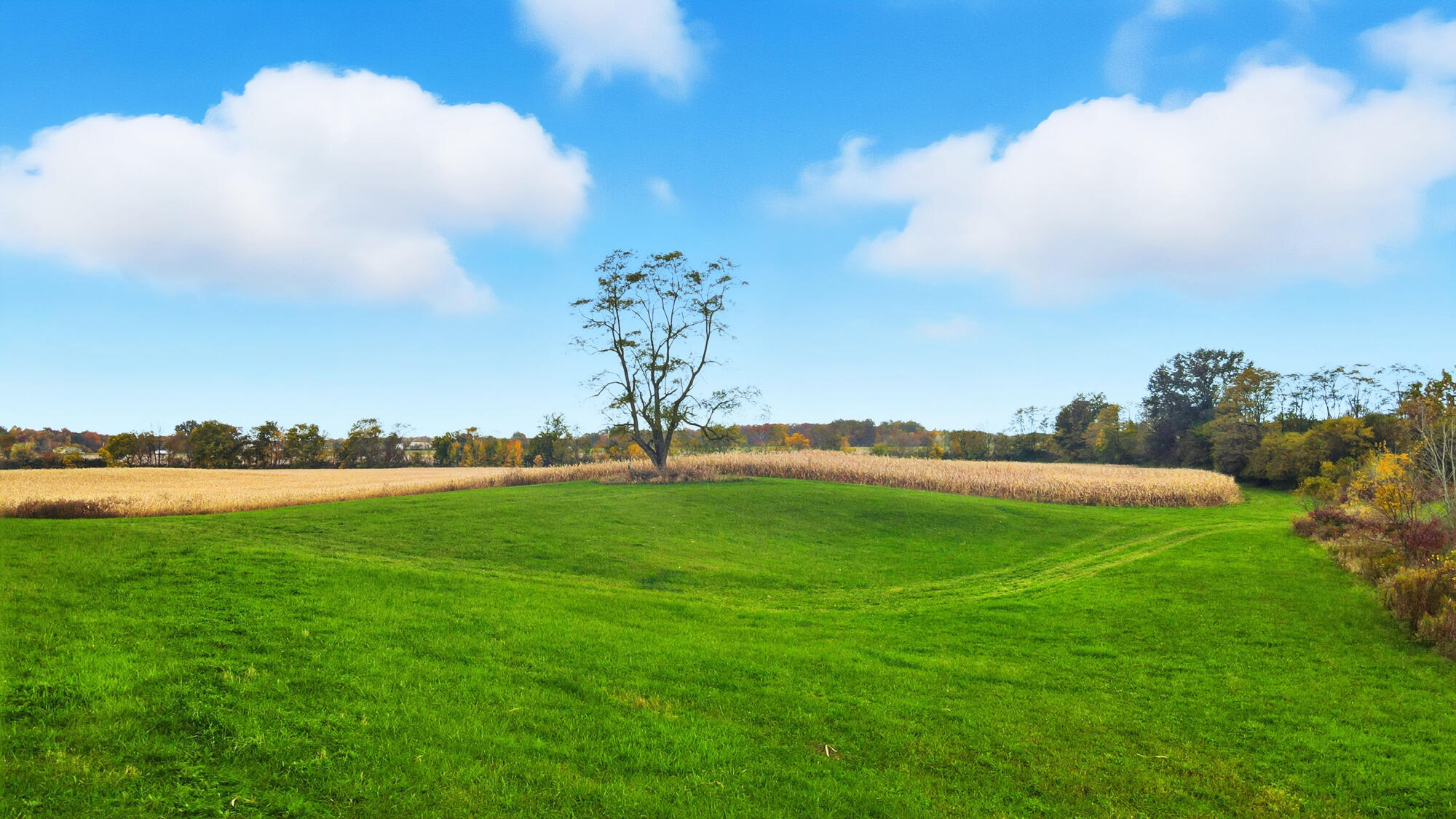 4926 ST RT 42, Mount Gilead, Ohio 43338