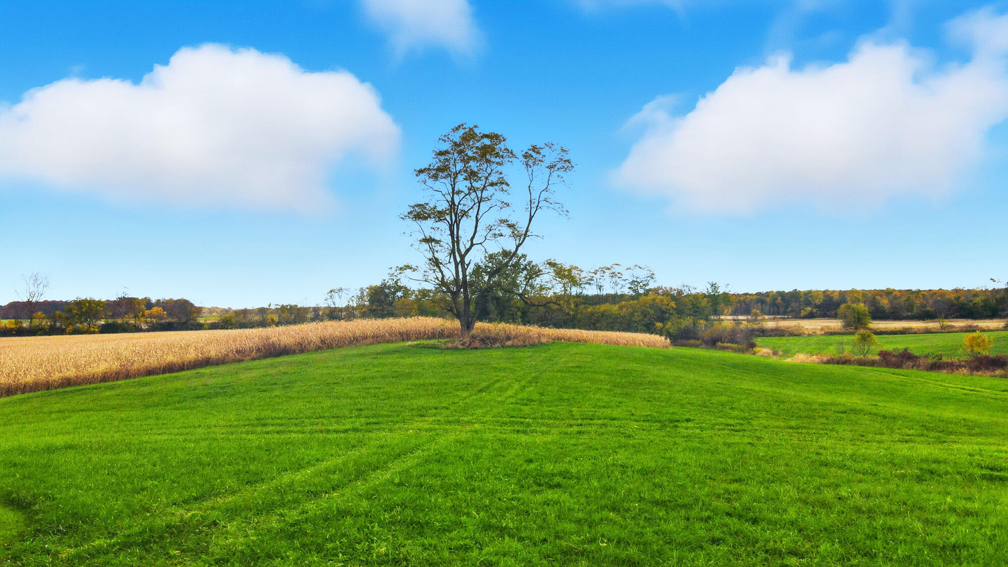 4926 ST RT 42, Mount Gilead, Ohio 43338