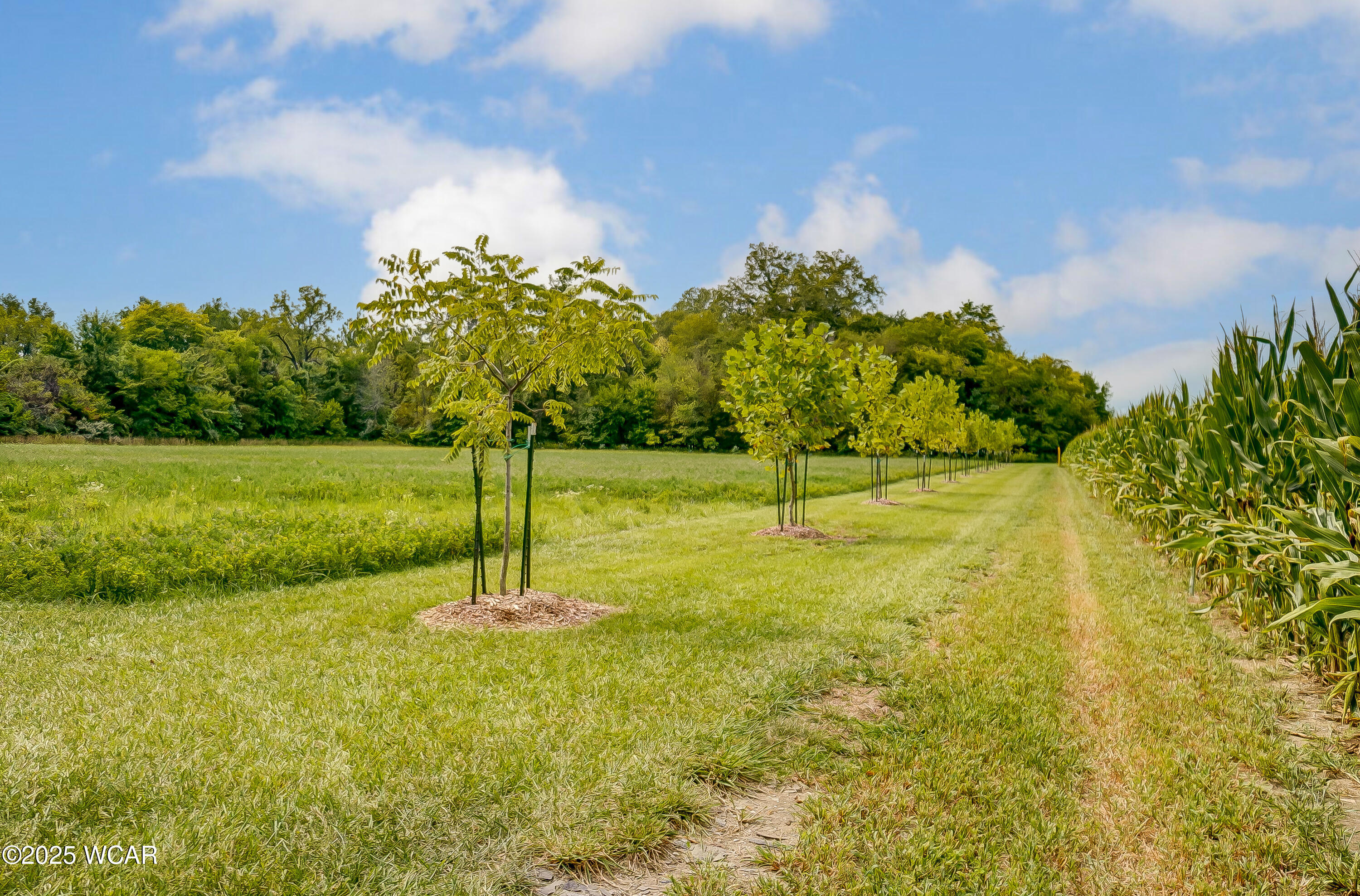 TBD Dog Creek Road, Middle Point, Ohio
