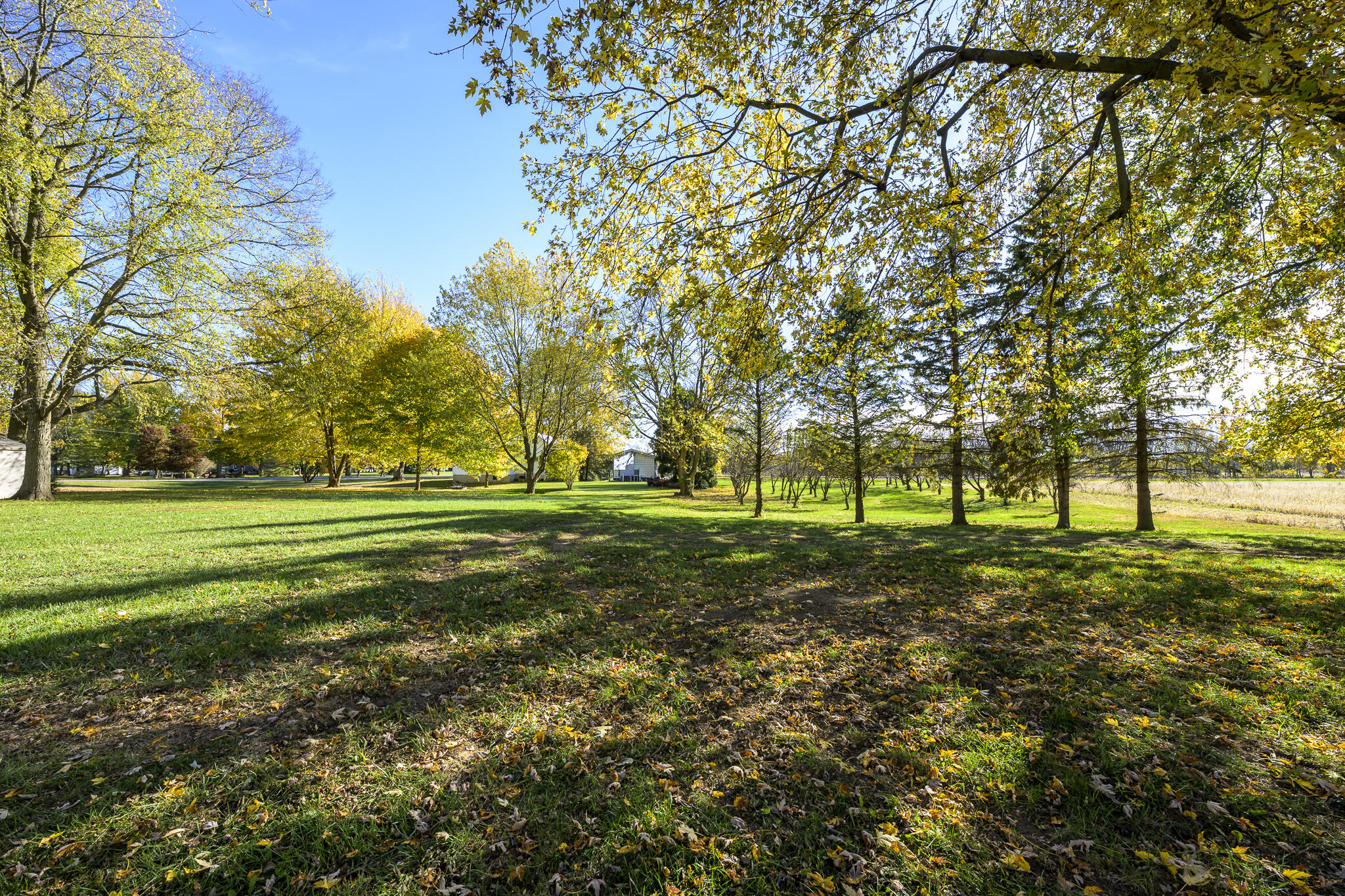 301 State Street, Belle Center, Ohio 43310