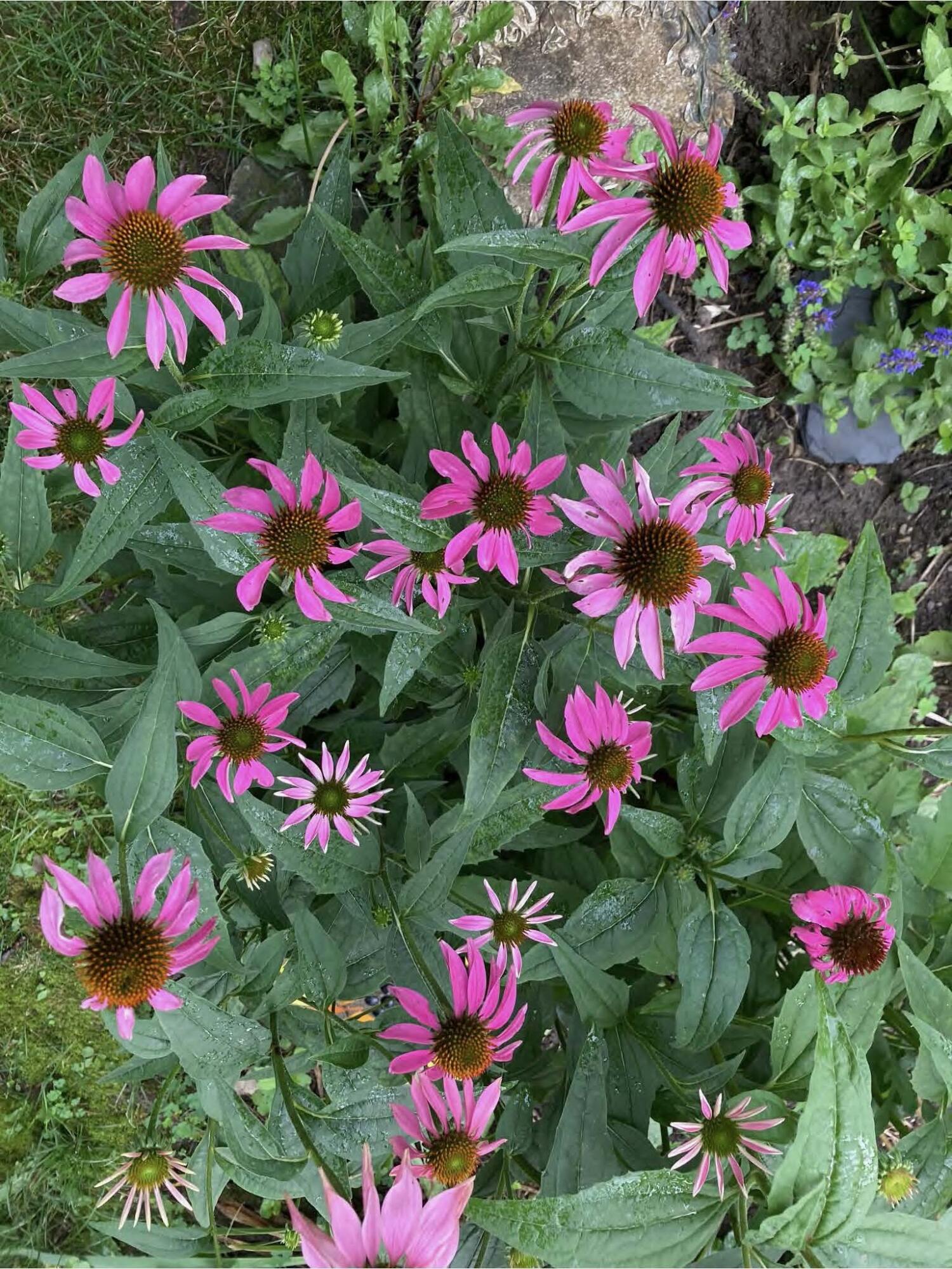 1054 Wilhelmina Drive, Vandalia, Ohio 45377