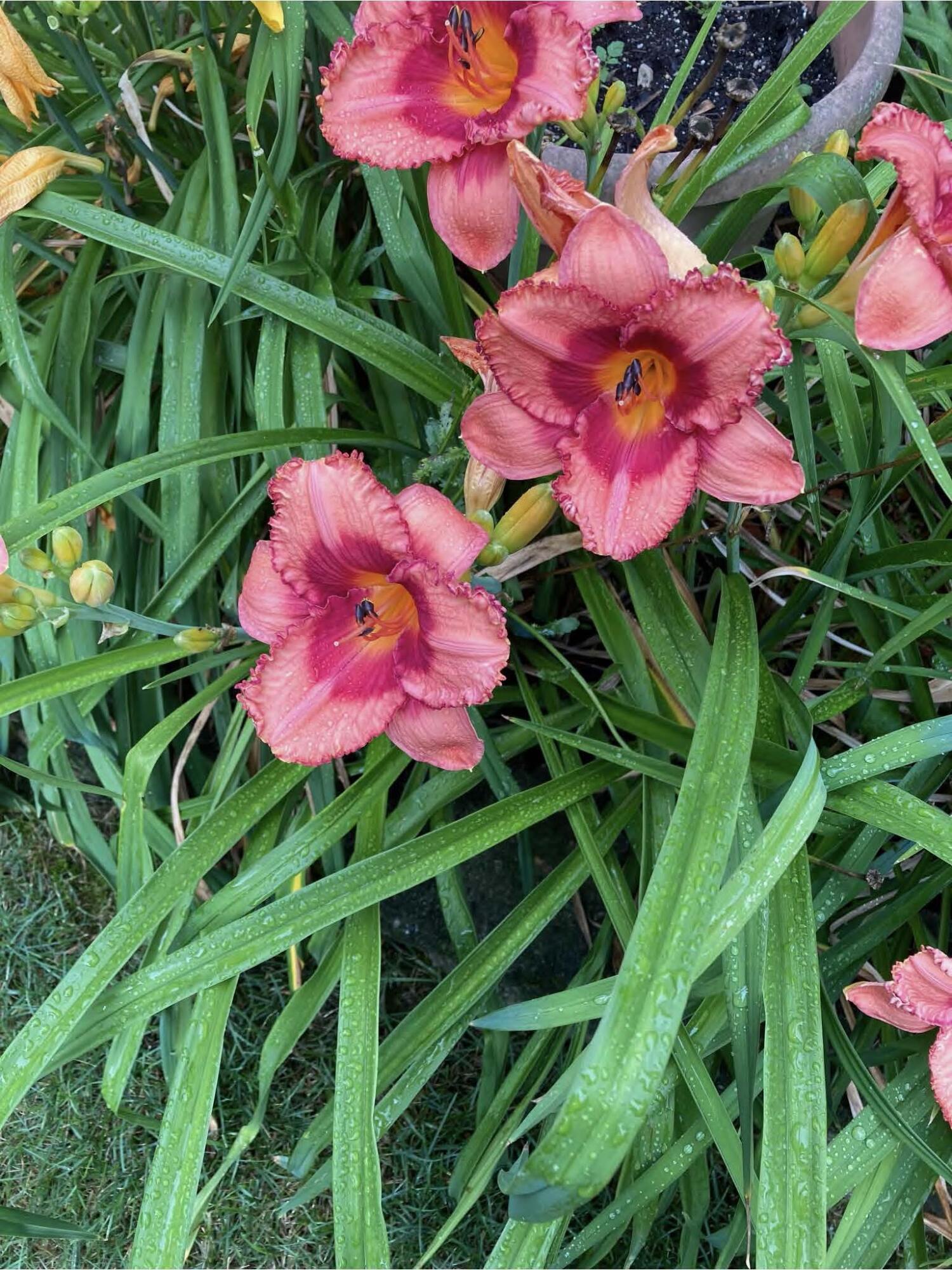 1054 Wilhelmina Drive, Vandalia, Ohio 45377