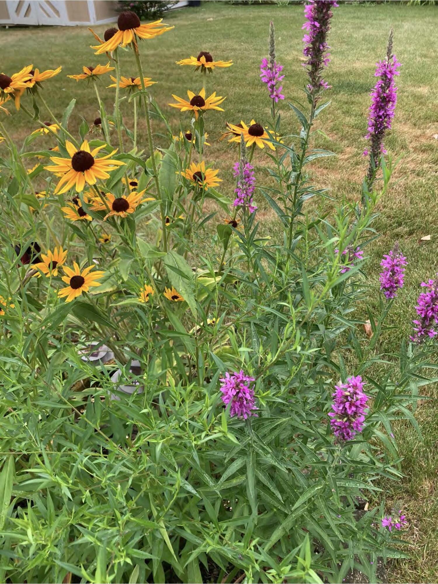 1054 Wilhelmina Drive, Vandalia, Ohio 45377