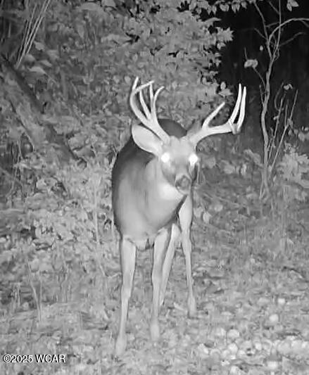 18258 Graham Road, Waynesfield, Ohio