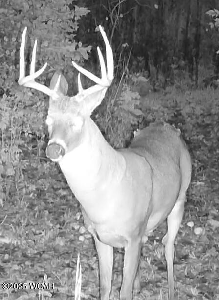 18258 Graham Road, Waynesfield, Ohio