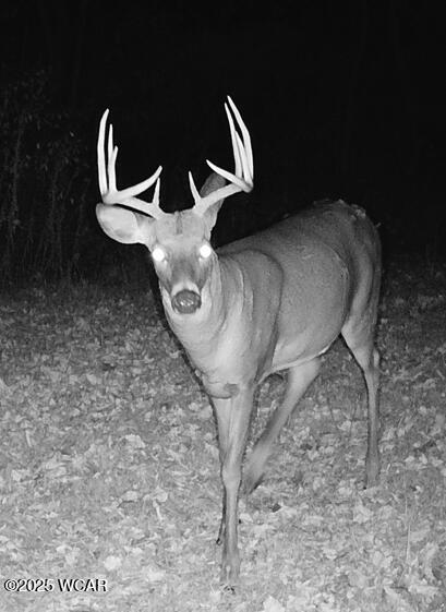 18258 Graham Road, Waynesfield, Ohio