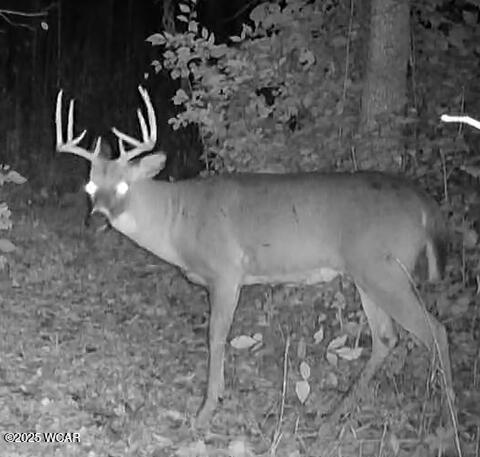 18258 Graham Road, Waynesfield, Ohio