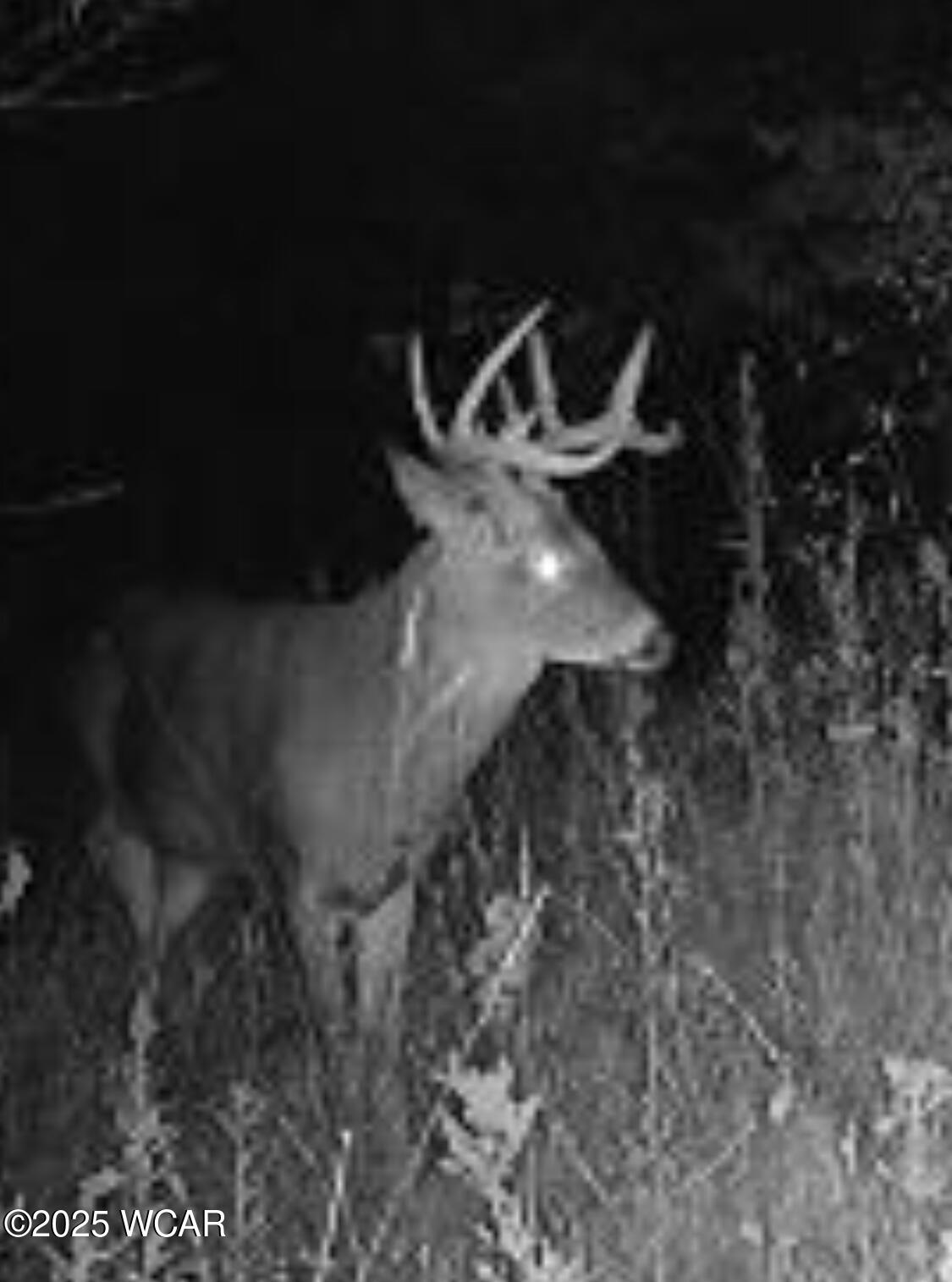 18258 Graham Road, Waynesfield, Ohio