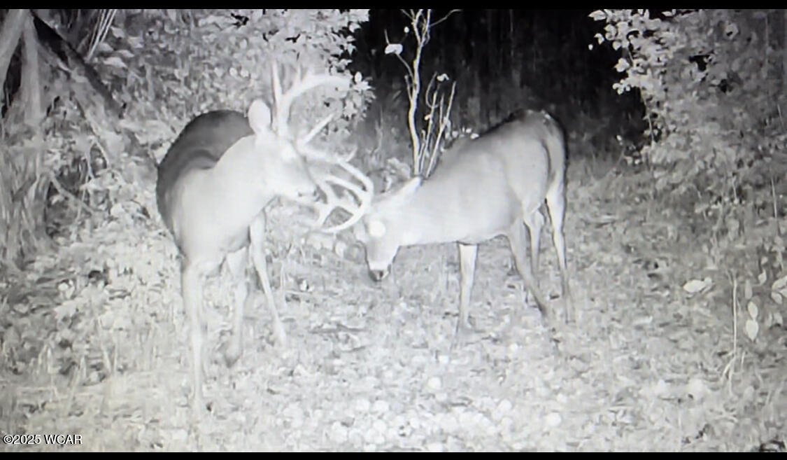 18258 Graham Road, Waynesfield, Ohio