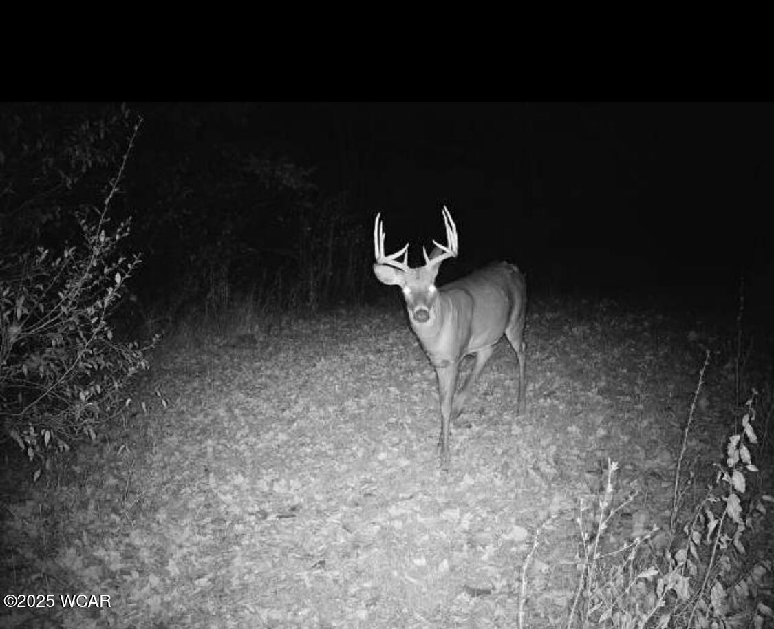 18258 Graham Road, Waynesfield, Ohio