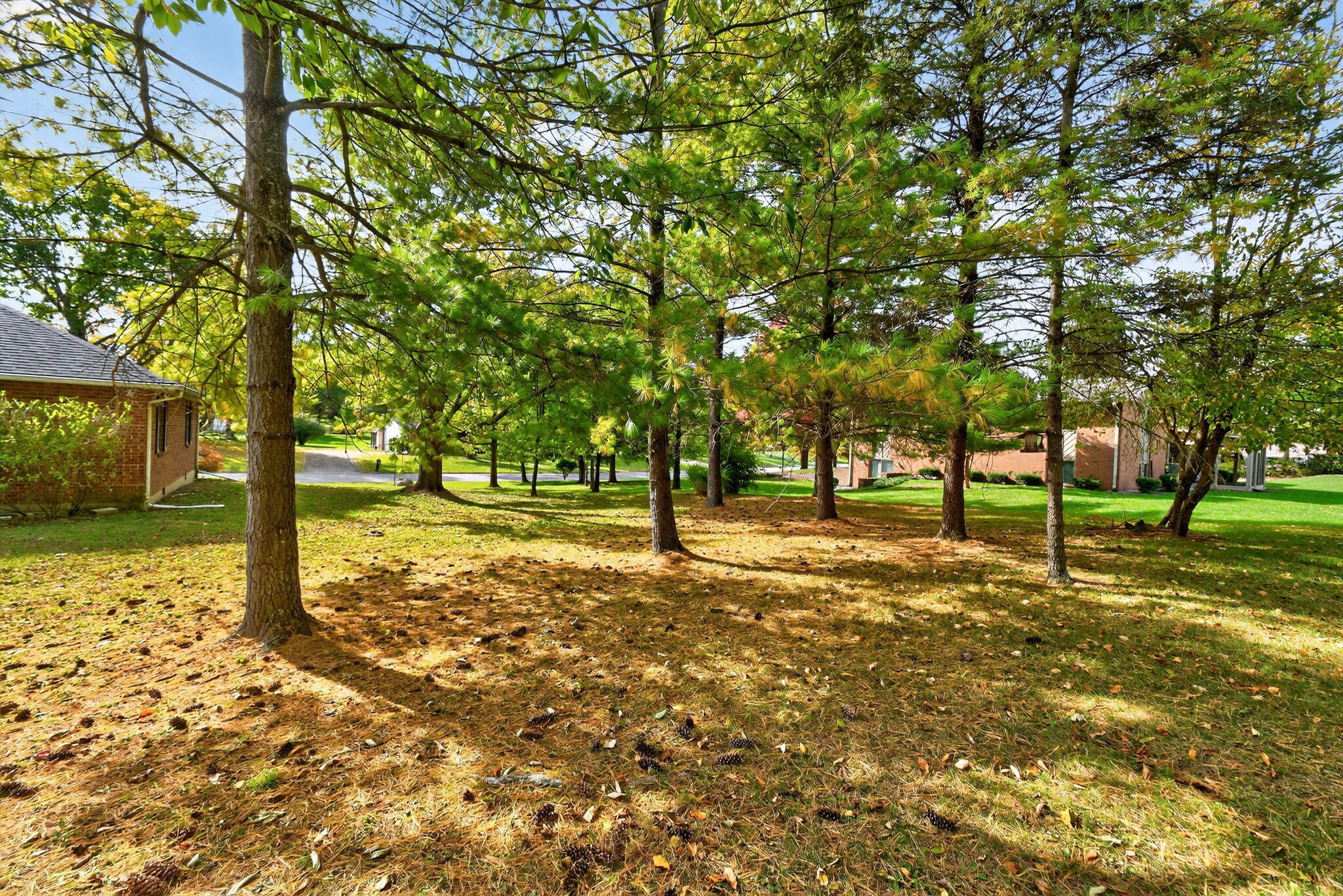 242 Miller Drive, Urbana, Ohio 43078