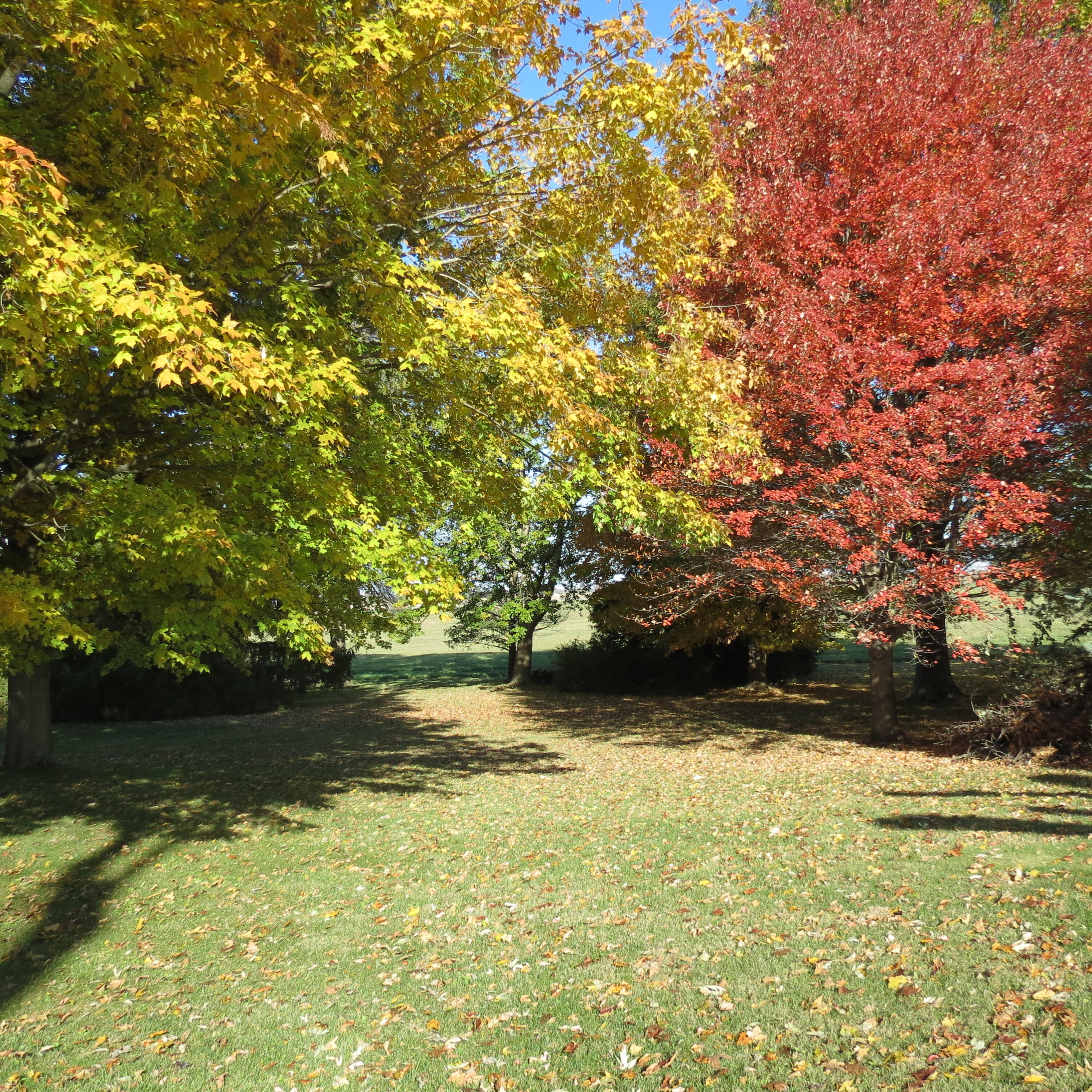 2199 Bulle Road, Sidney, Ohio 45365