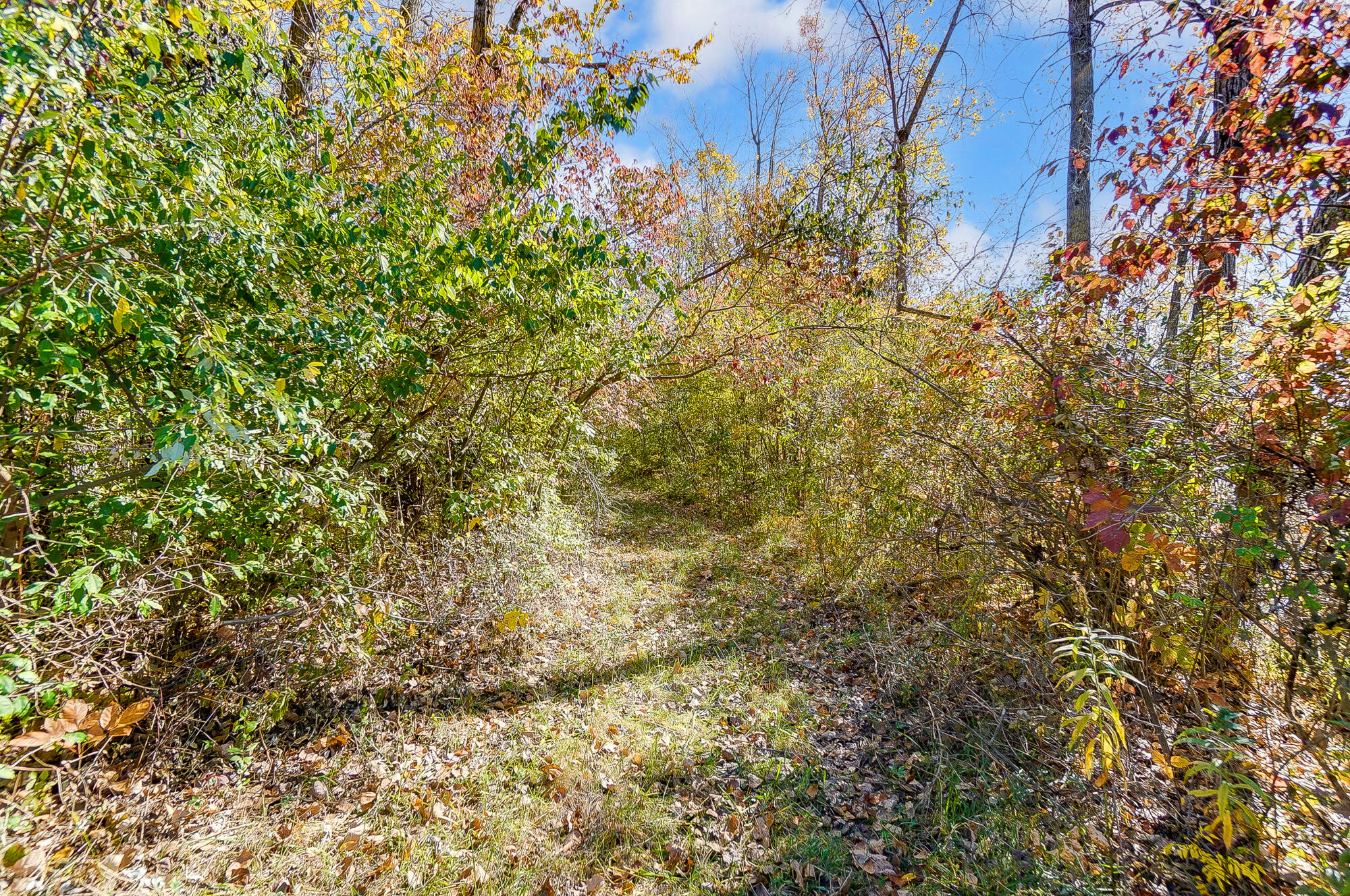 3834 Co Rd 55, Bellefontaine, Ohio 43311