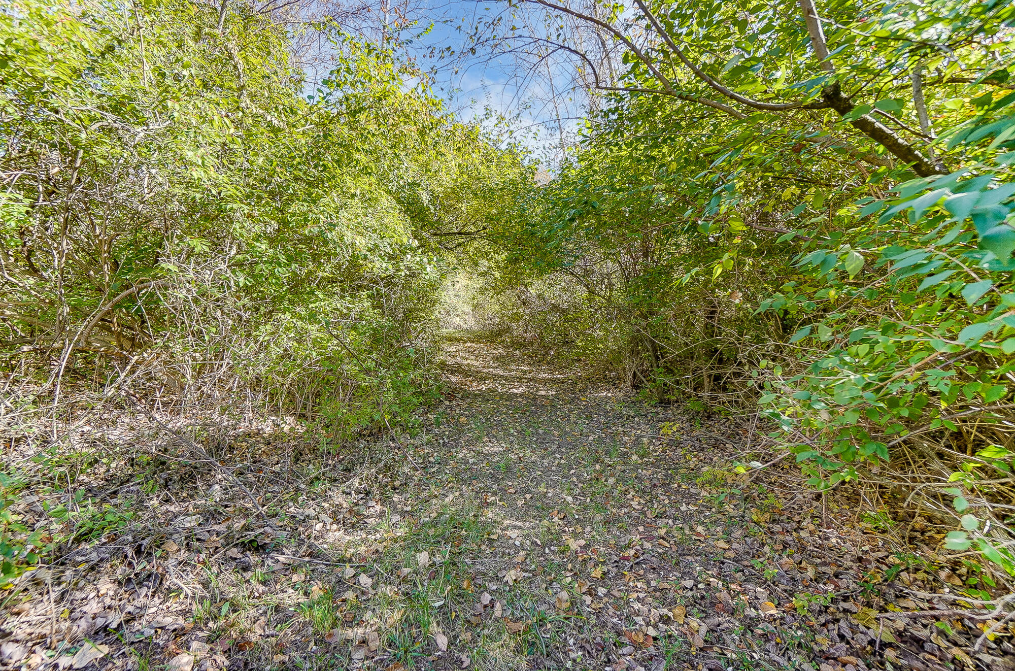 3834 Co Rd 55, Bellefontaine, Ohio 43311