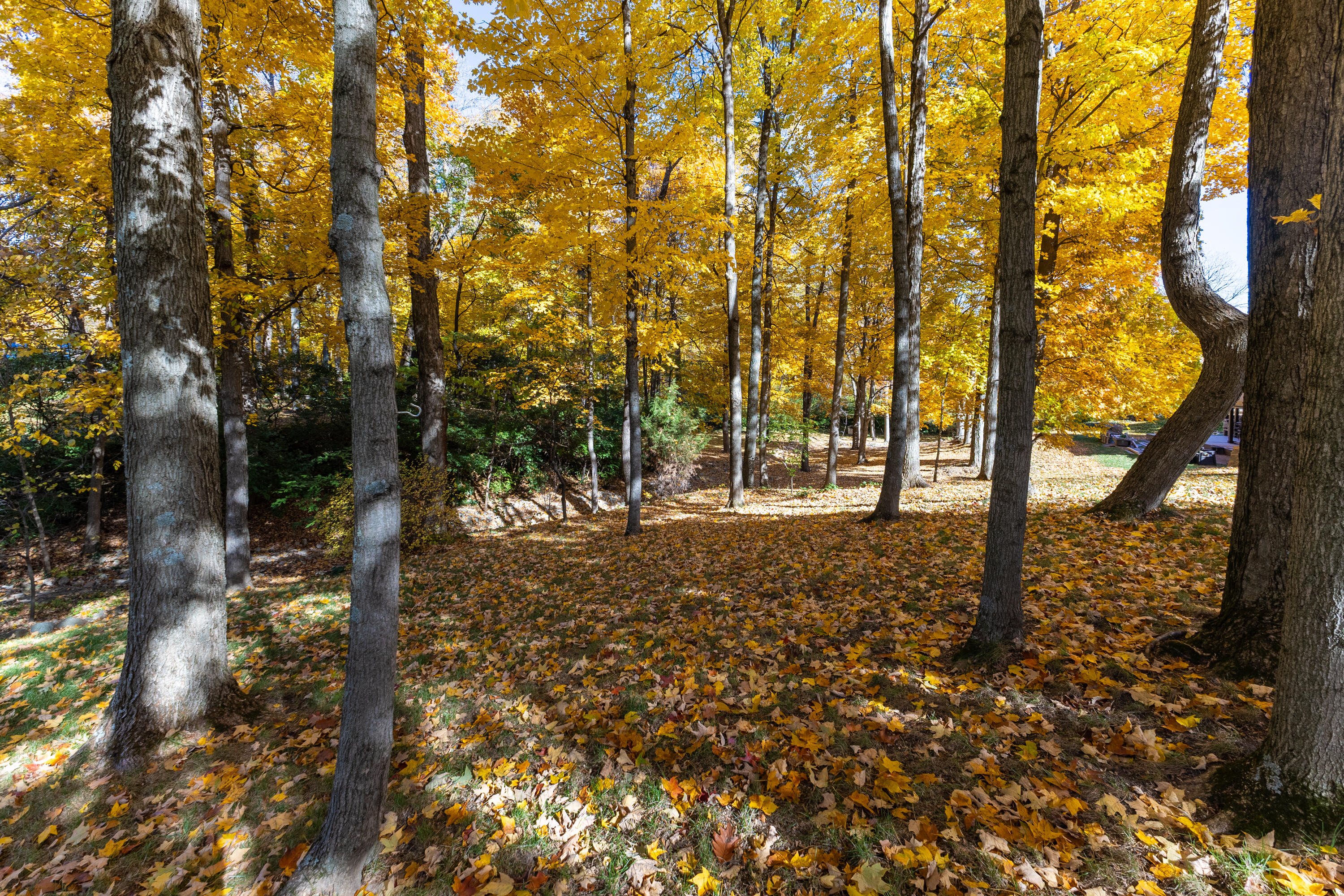 1052 Forest Crest Place, Vandalia, Ohio 45377