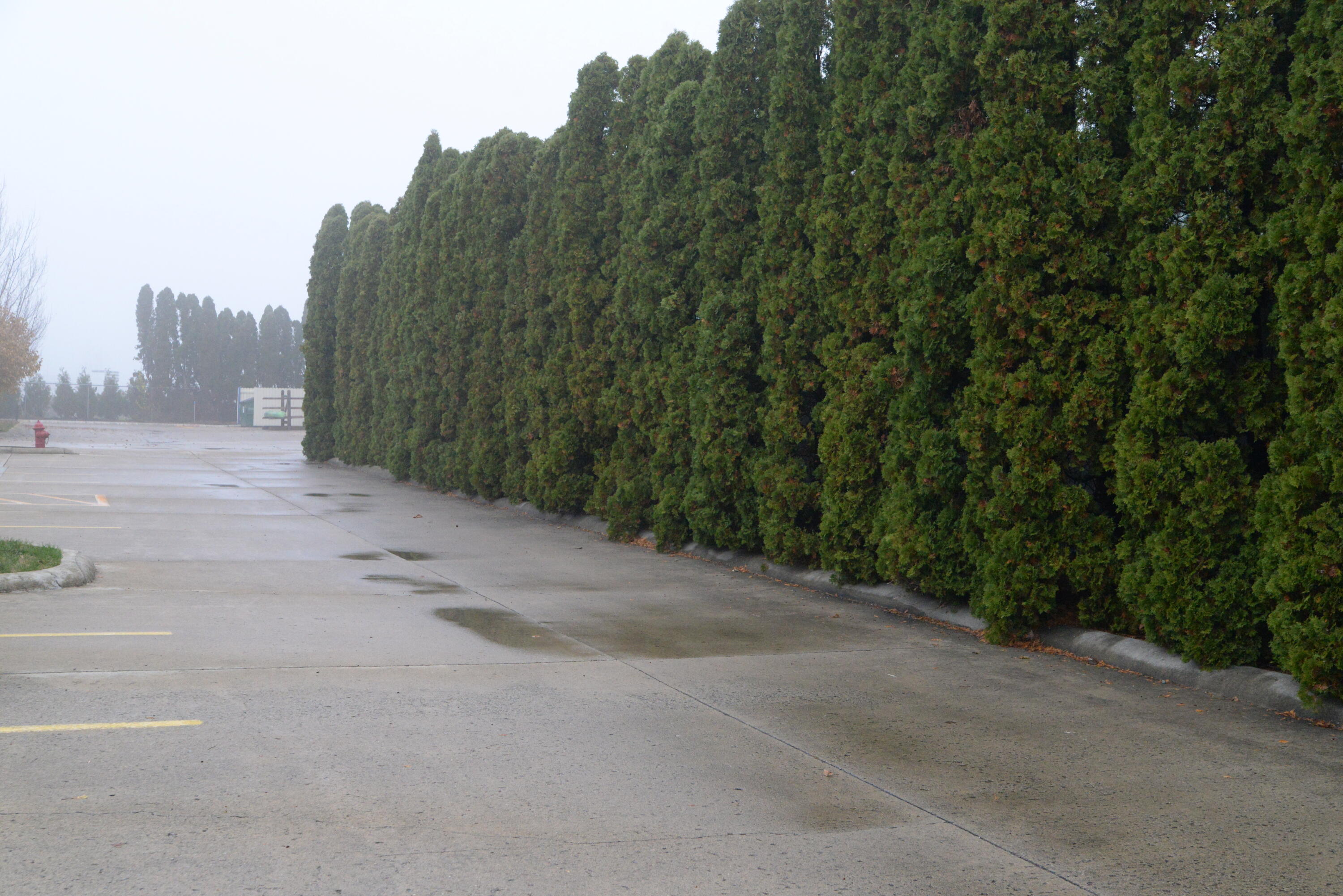 241 Chase Avenue, Russells Point, Ohio 43348