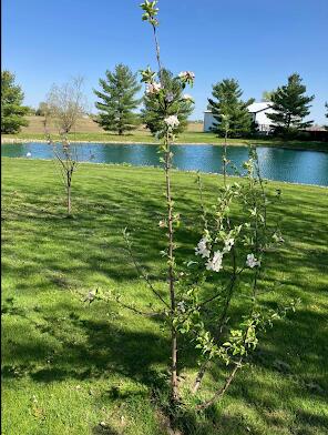 7422 Staeger Road, Celina, Ohio 45822