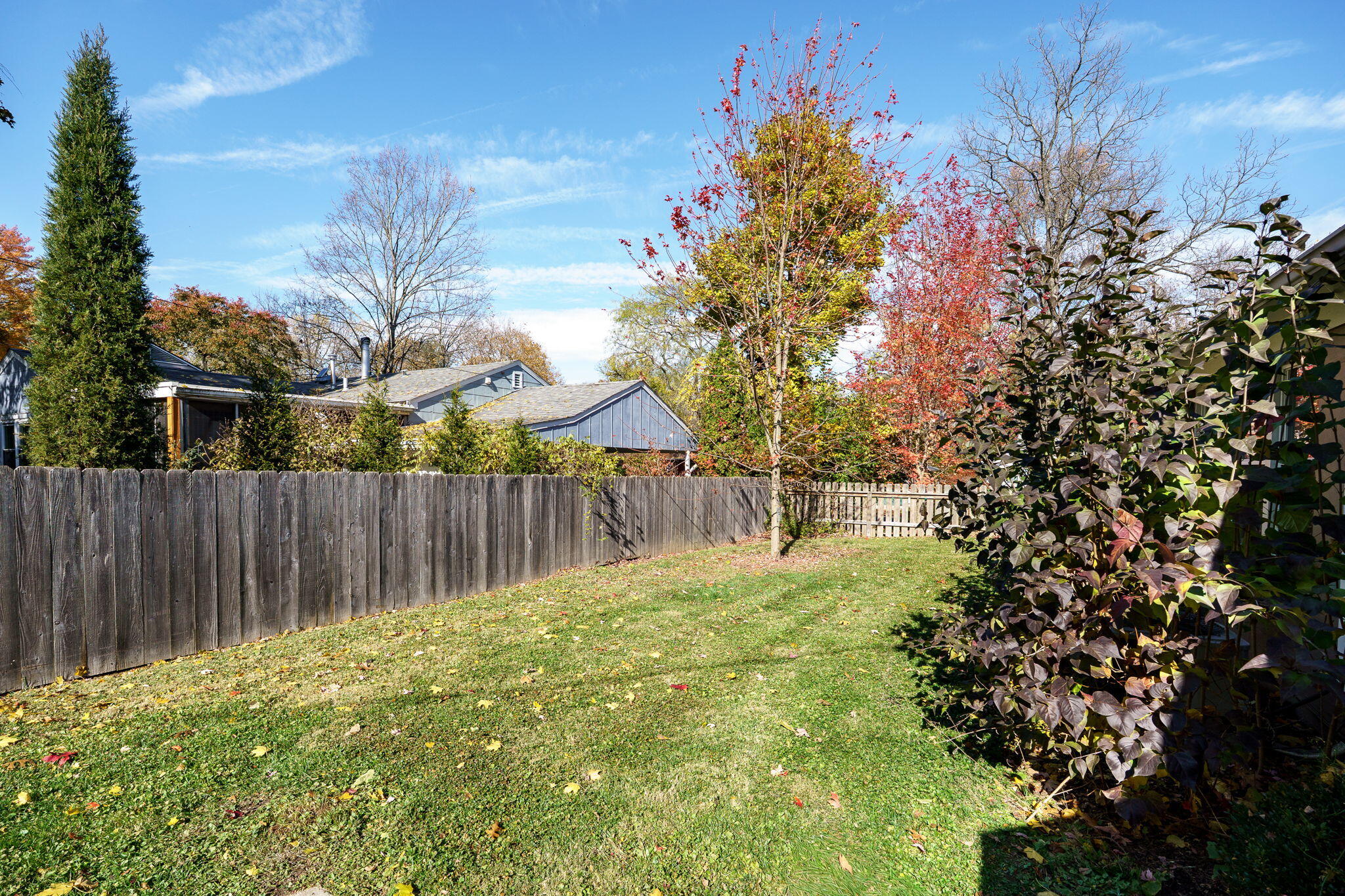 314 Walnut Street, Yellow Springs, Ohio 45387