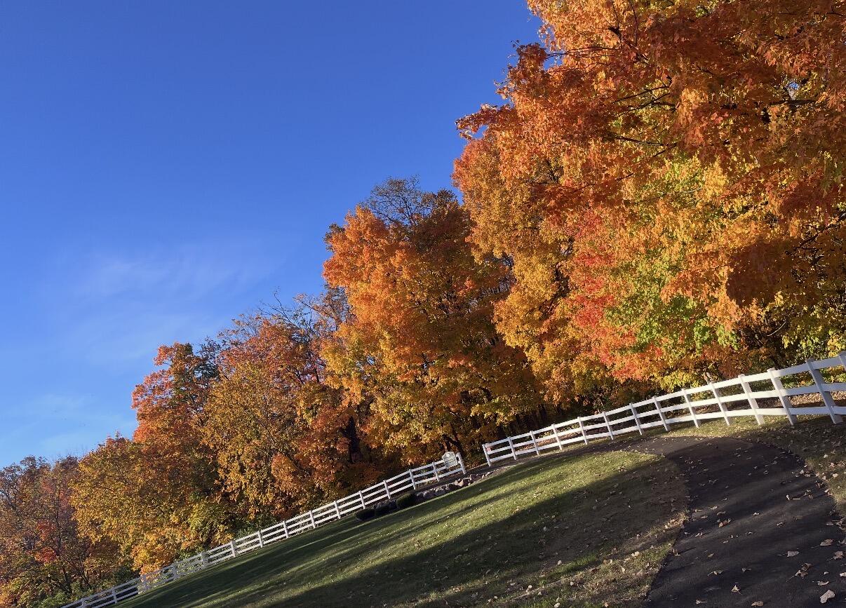 862 Brendle Trace, Springfield, Ohio 45503