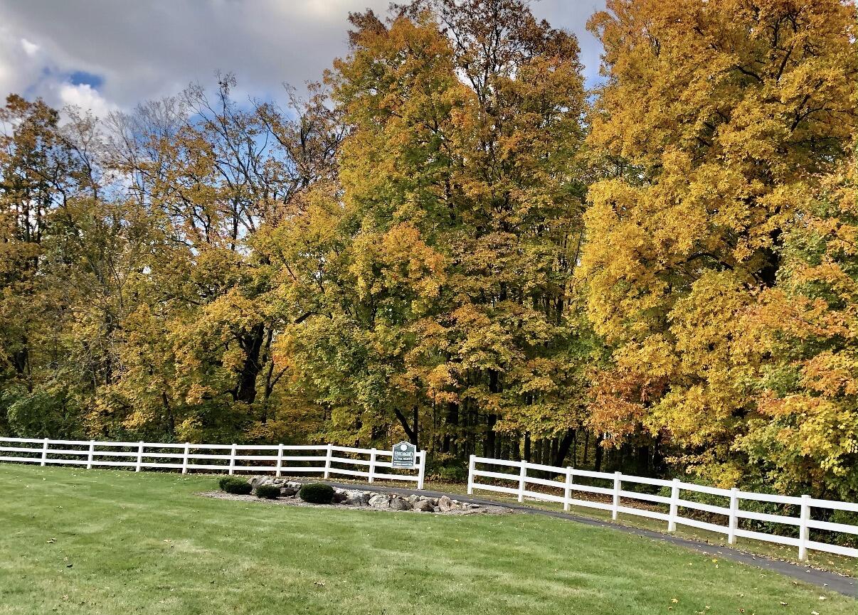 862 Brendle Trace, Springfield, Ohio 45503