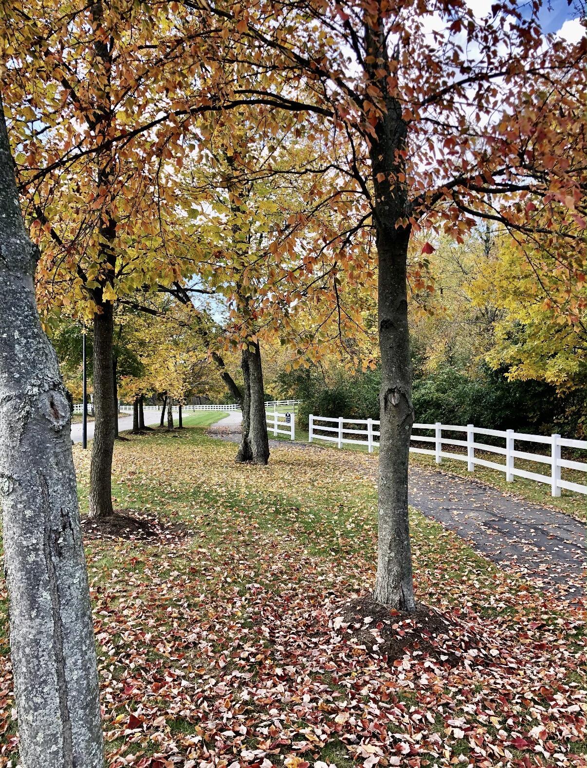 862 Brendle Trace, Springfield, Ohio 45503